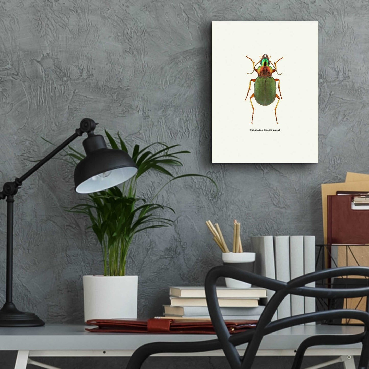 Epic Art 'Beetle Green' by GraphINC, Acrylic Glass Wall Art,12x16