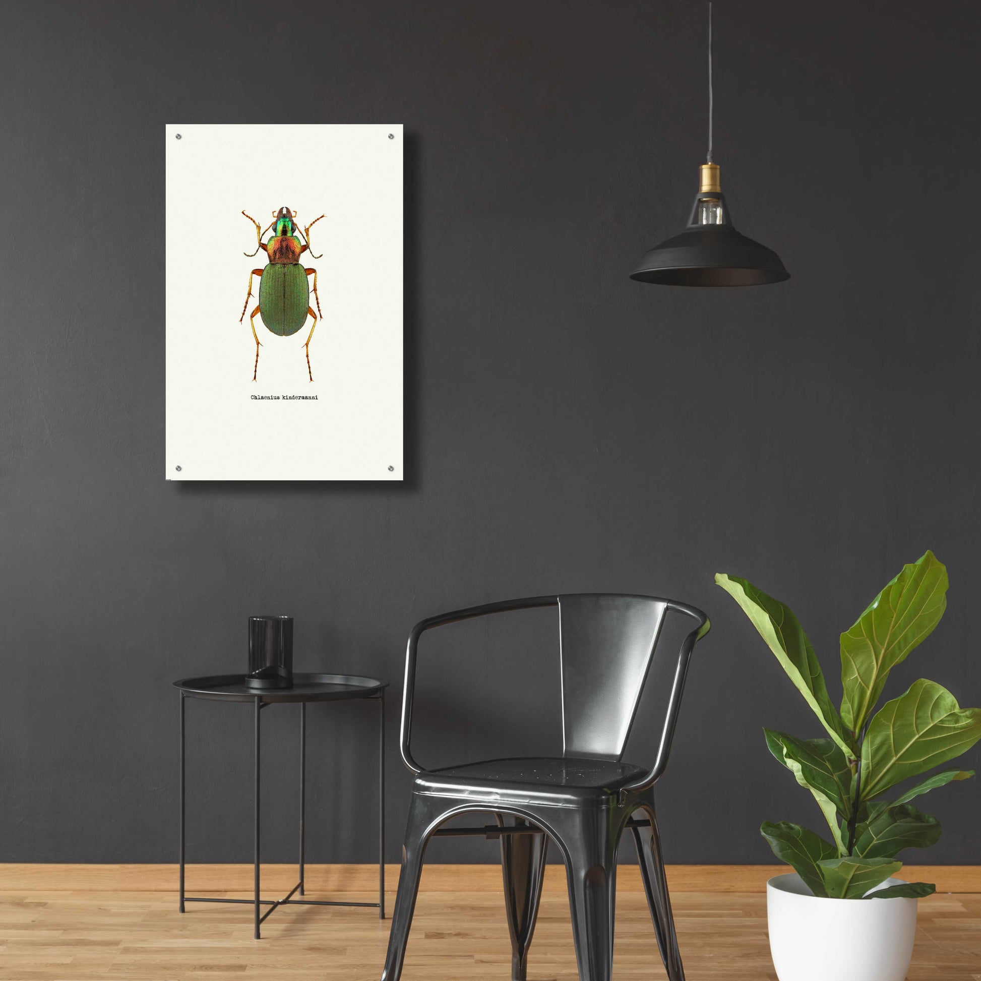 Epic Art 'Beetle Green' by GraphINC, Acrylic Glass Wall Art,24x36