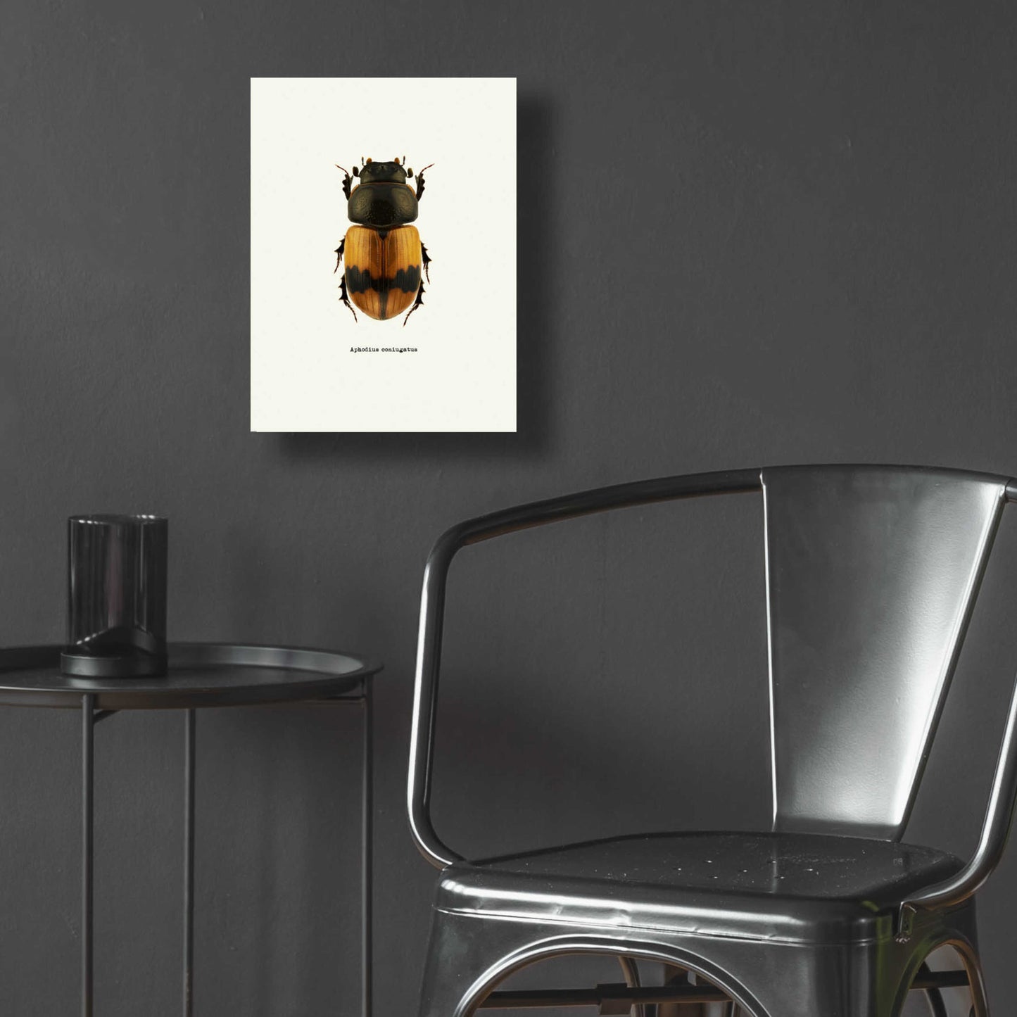 Epic Art 'Beetle Orange' by GraphINC, Acrylic Glass Wall Art,12x16