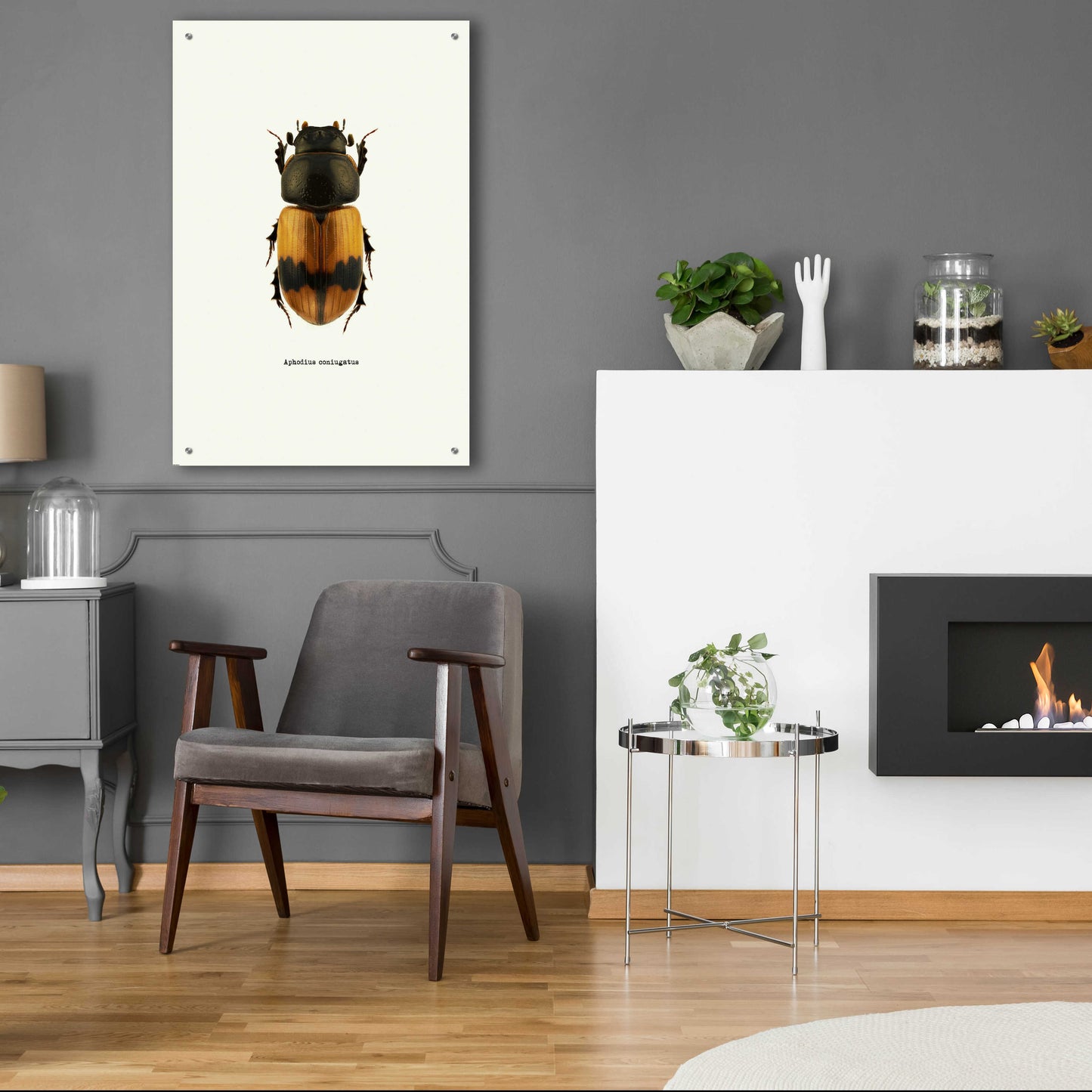 Epic Art 'Beetle Orange' by GraphINC, Acrylic Glass Wall Art,24x36