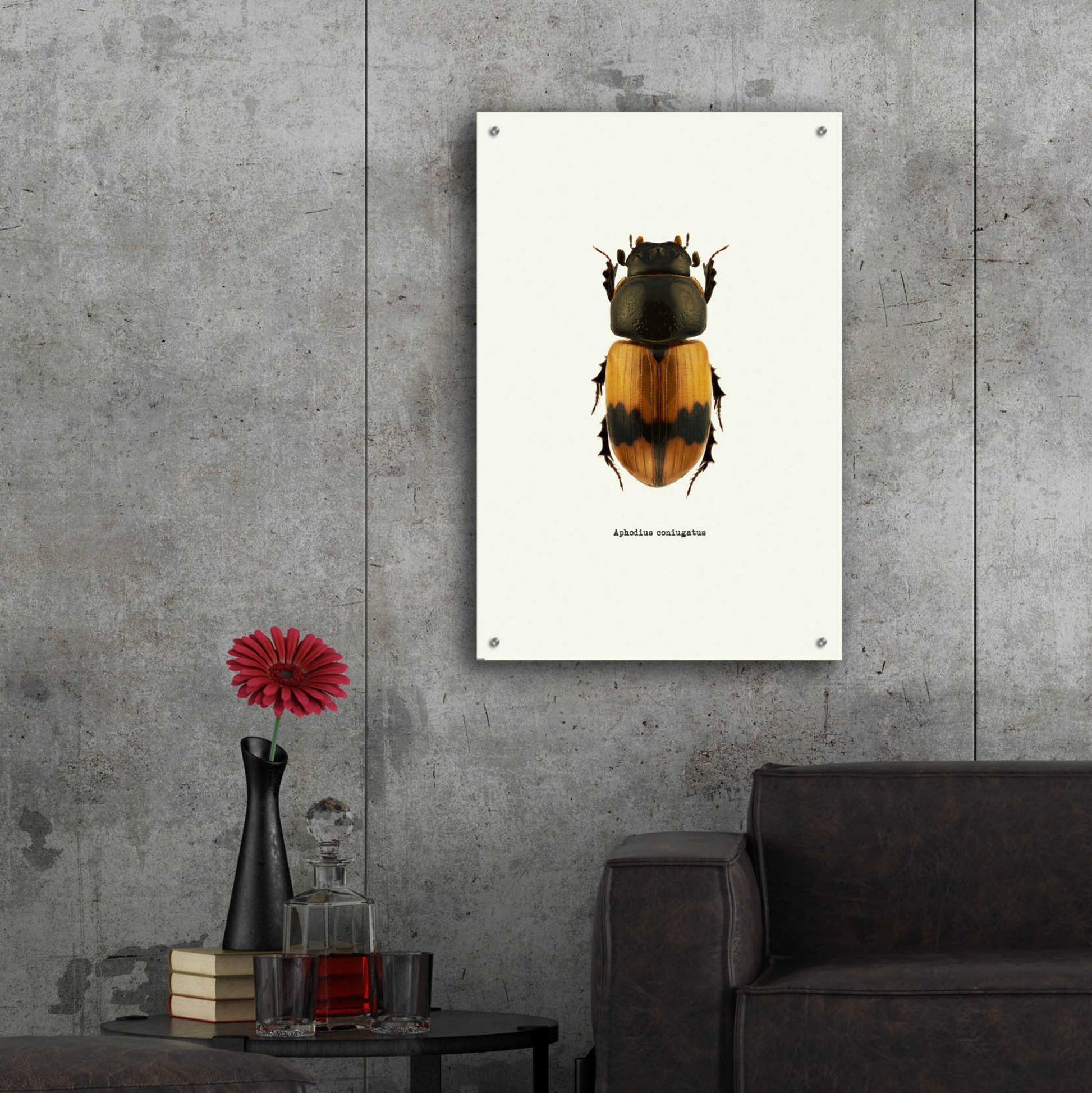 Epic Art 'Beetle Orange' by GraphINC, Acrylic Glass Wall Art,24x36