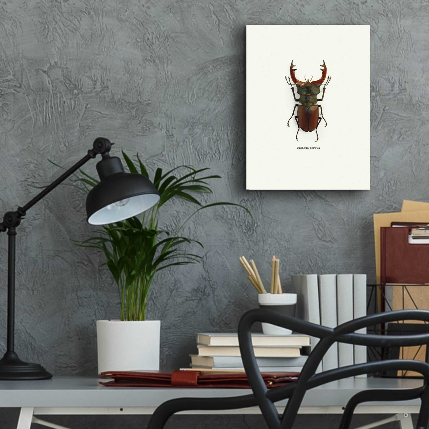 Epic Art 'Beetle Red' by GraphINC, Acrylic Glass Wall Art,12x16