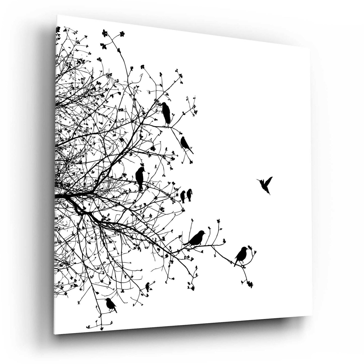 Epic Art 'Bird I' by GraphINC, Acrylic Glass Wall Art,12x12