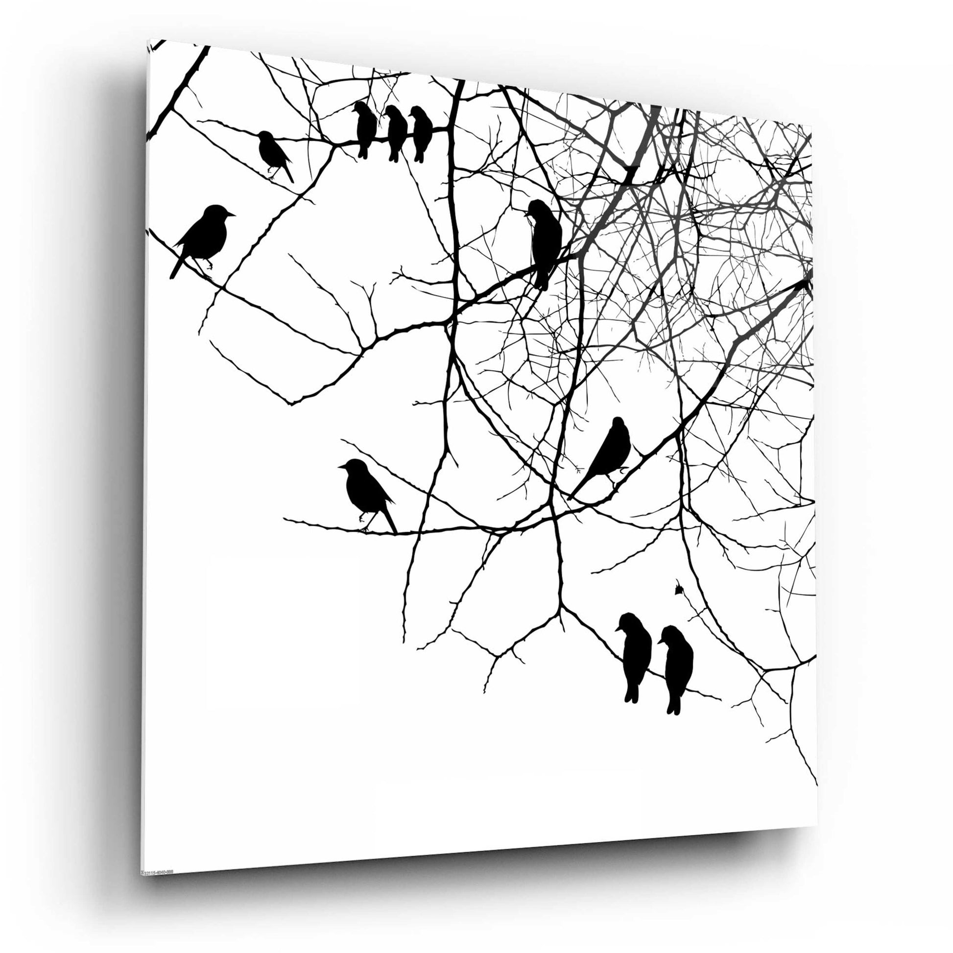 Epic Art 'Bird II' by GraphINC, Acrylic Glass Wall Art,12x12