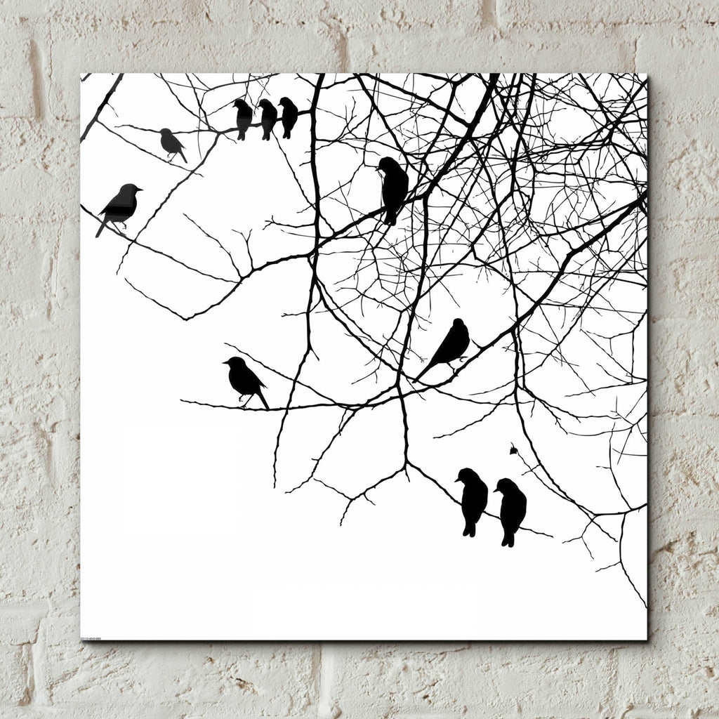 Epic Art 'Bird II' by GraphINC, Acrylic Glass Wall Art,12x12