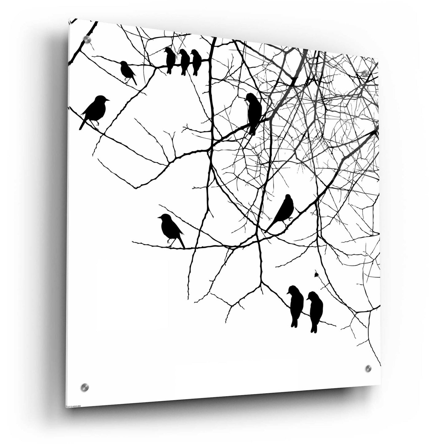 Epic Art 'Bird II' by GraphINC, Acrylic Glass Wall Art,24x24