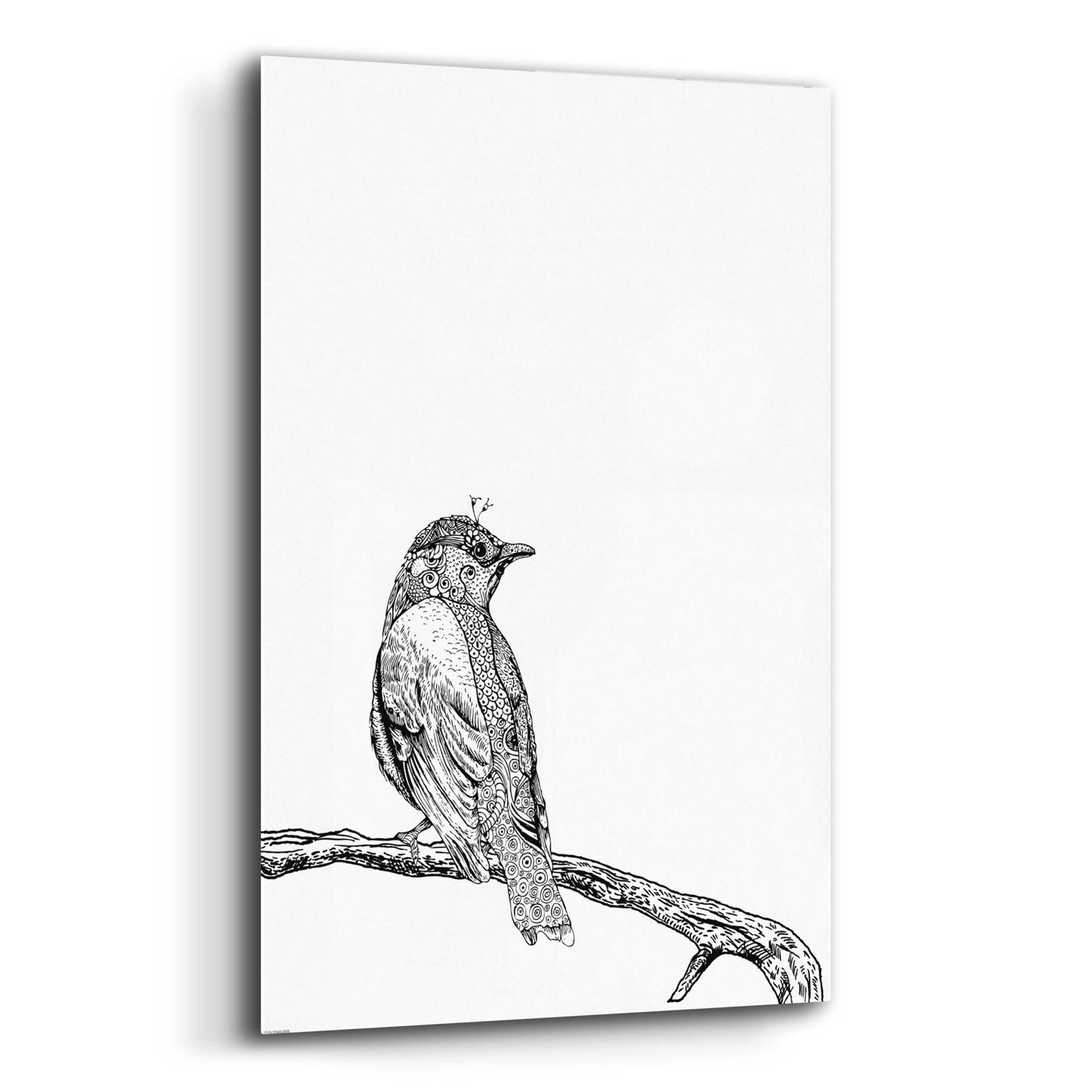 Epic Art 'Bird III' by GraphINC, Acrylic Glass Wall Art,12x16