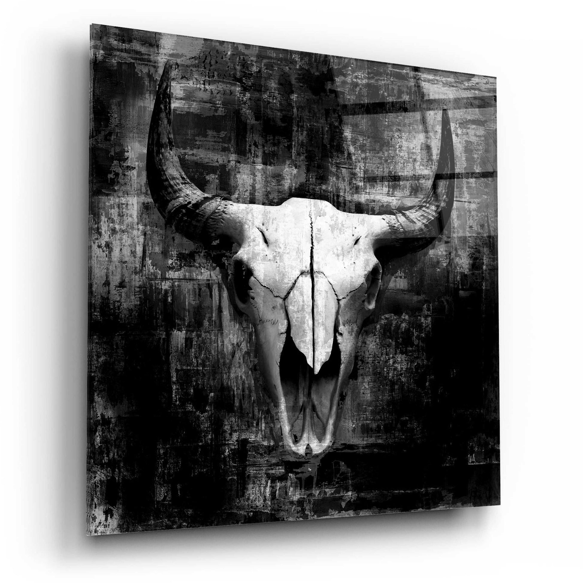 Epic Art 'Black Cowskull' by GraphINC, Acrylic Glass Wall Art,12x12