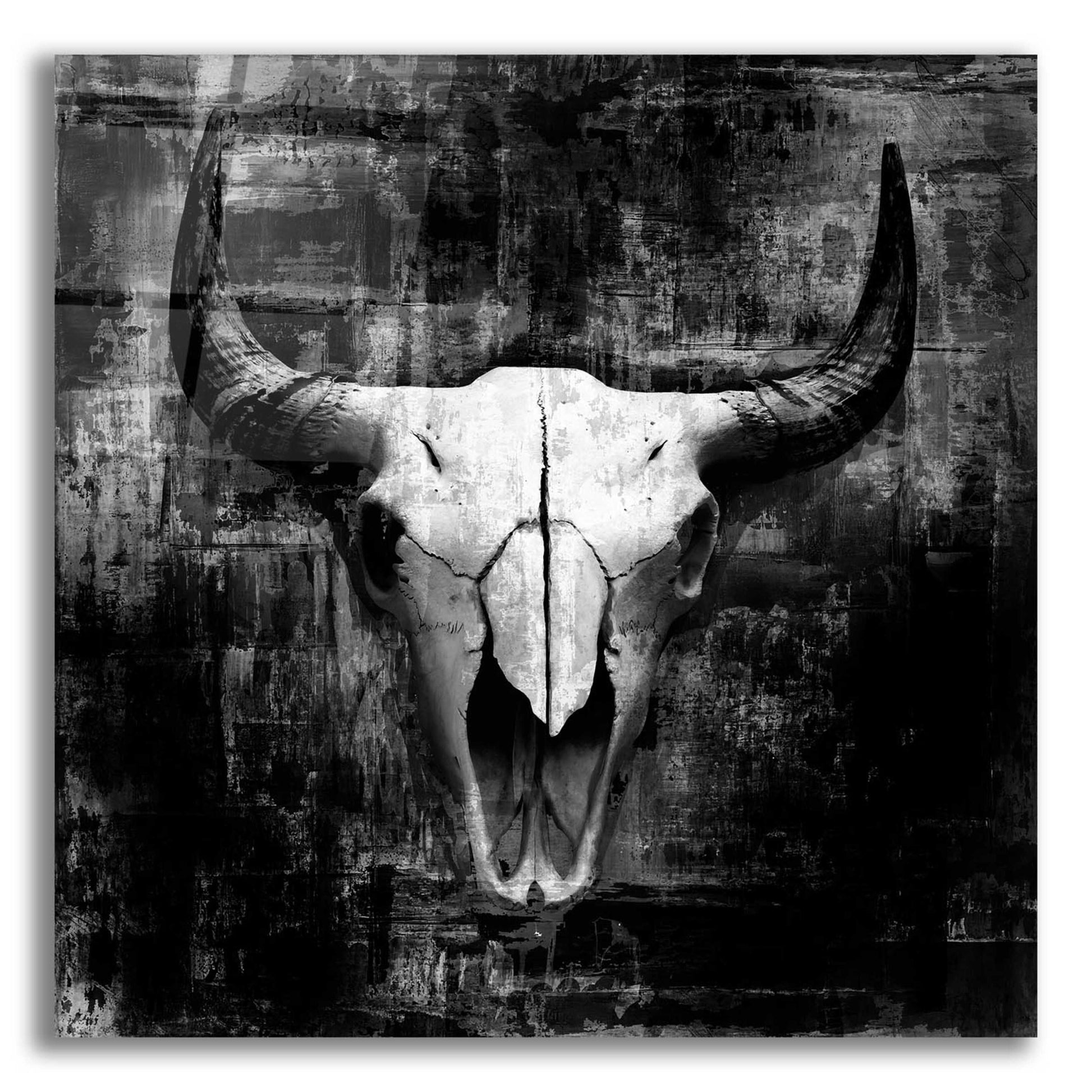 Epic Art 'Black Cowskull' by GraphINC, Acrylic Glass Wall Art,12x12