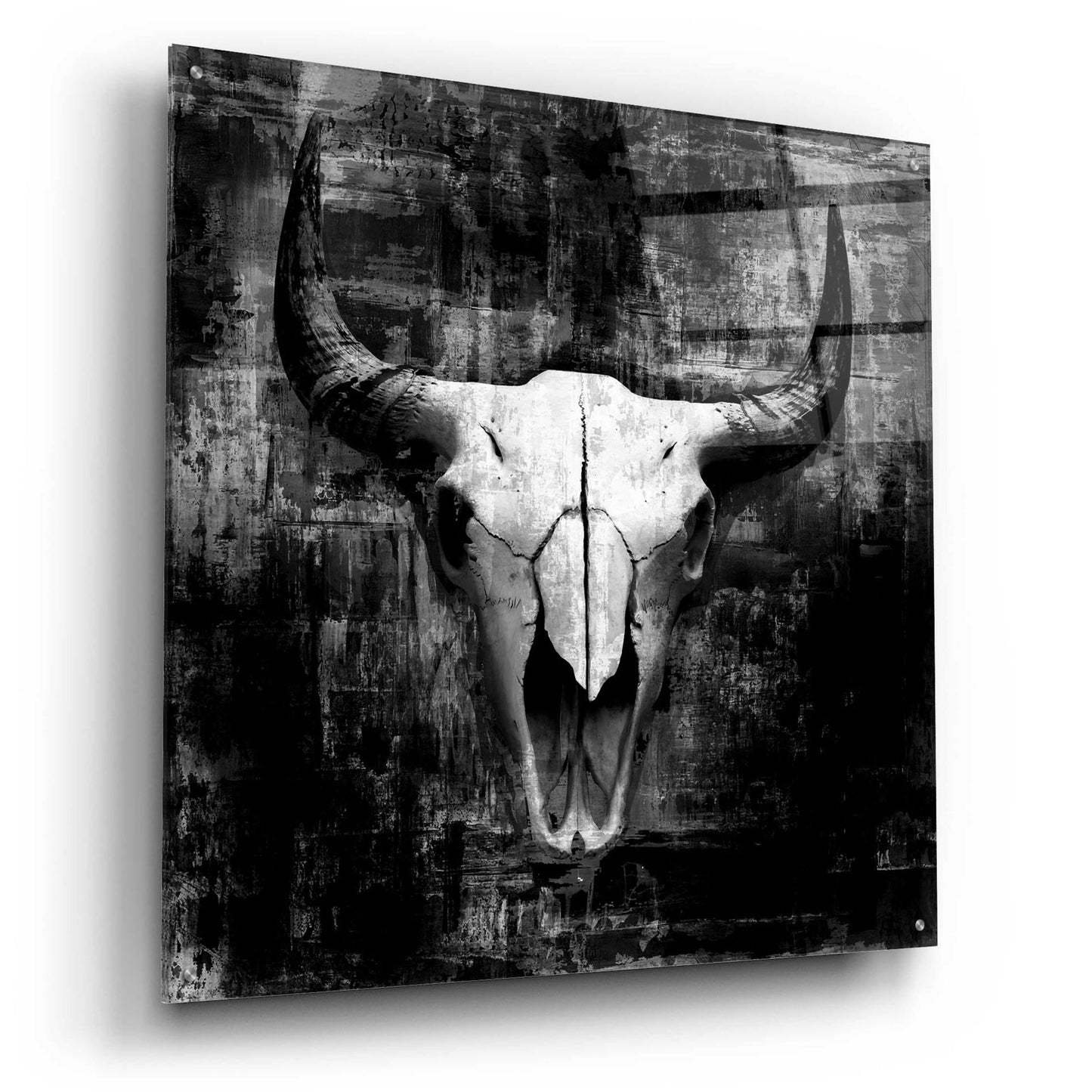 Epic Art 'Black Cowskull' by GraphINC, Acrylic Glass Wall Art,36x36