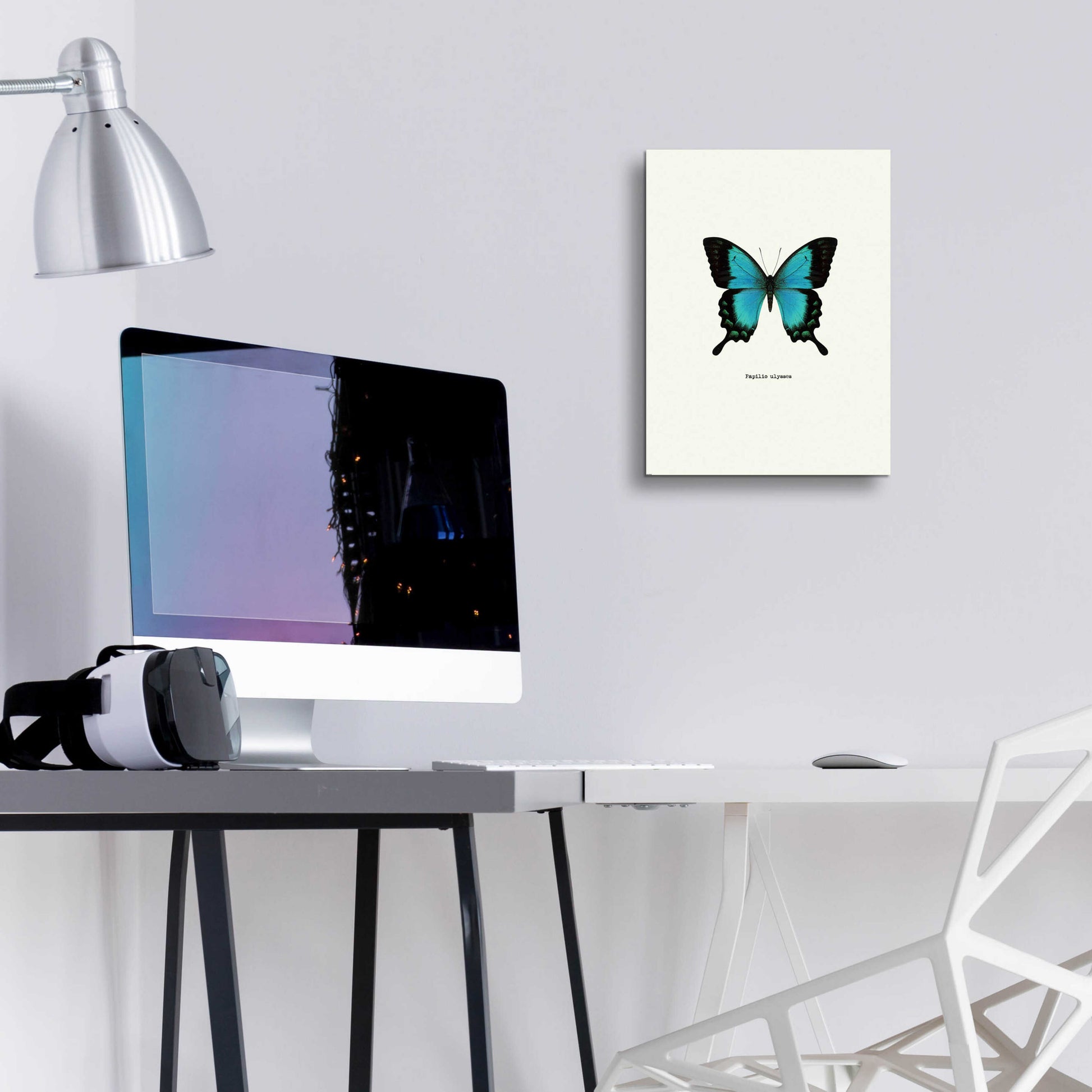 Epic Art 'Blue Butterfly' by GraphINC, Acrylic Glass Wall Art,12x16