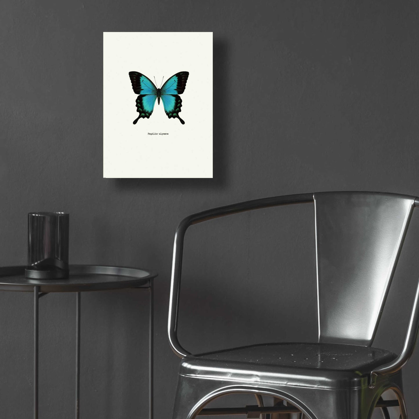 Epic Art 'Blue Butterfly' by GraphINC, Acrylic Glass Wall Art,12x16