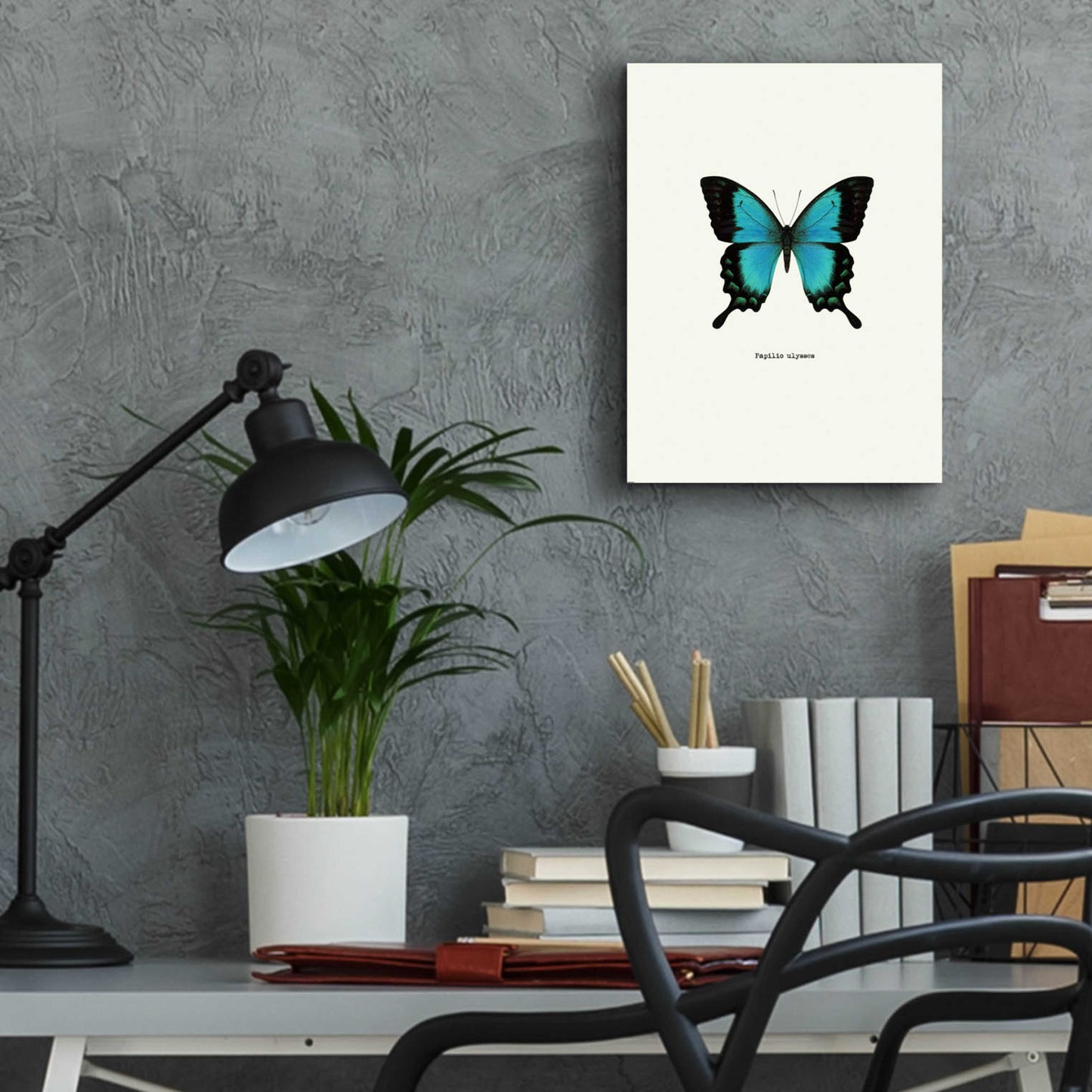 Epic Art 'Blue Butterfly' by GraphINC, Acrylic Glass Wall Art,12x16