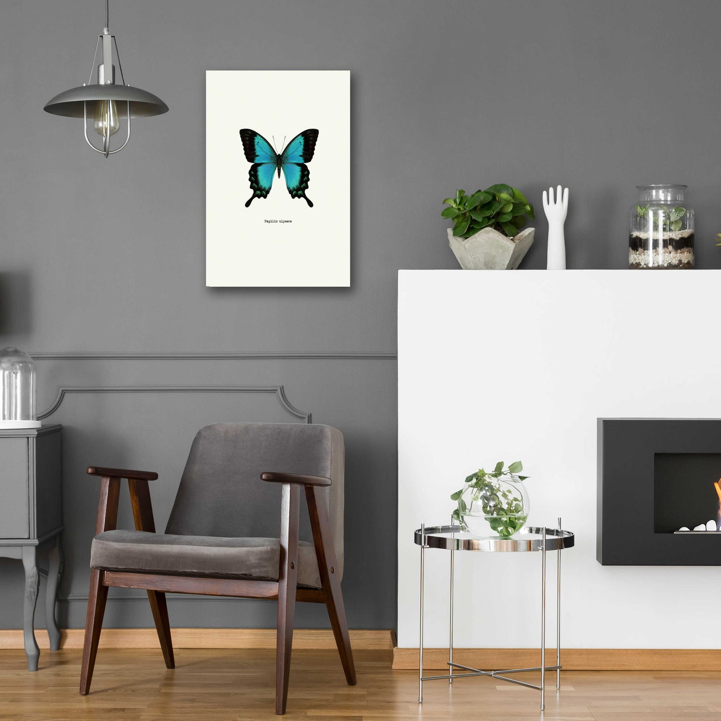 Epic Art 'Blue Butterfly' by GraphINC, Acrylic Glass Wall Art,16x24