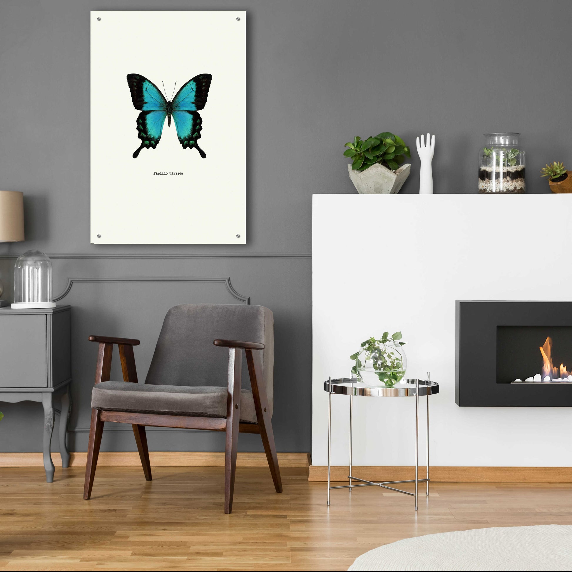 Epic Art 'Blue Butterfly' by GraphINC, Acrylic Glass Wall Art,24x36