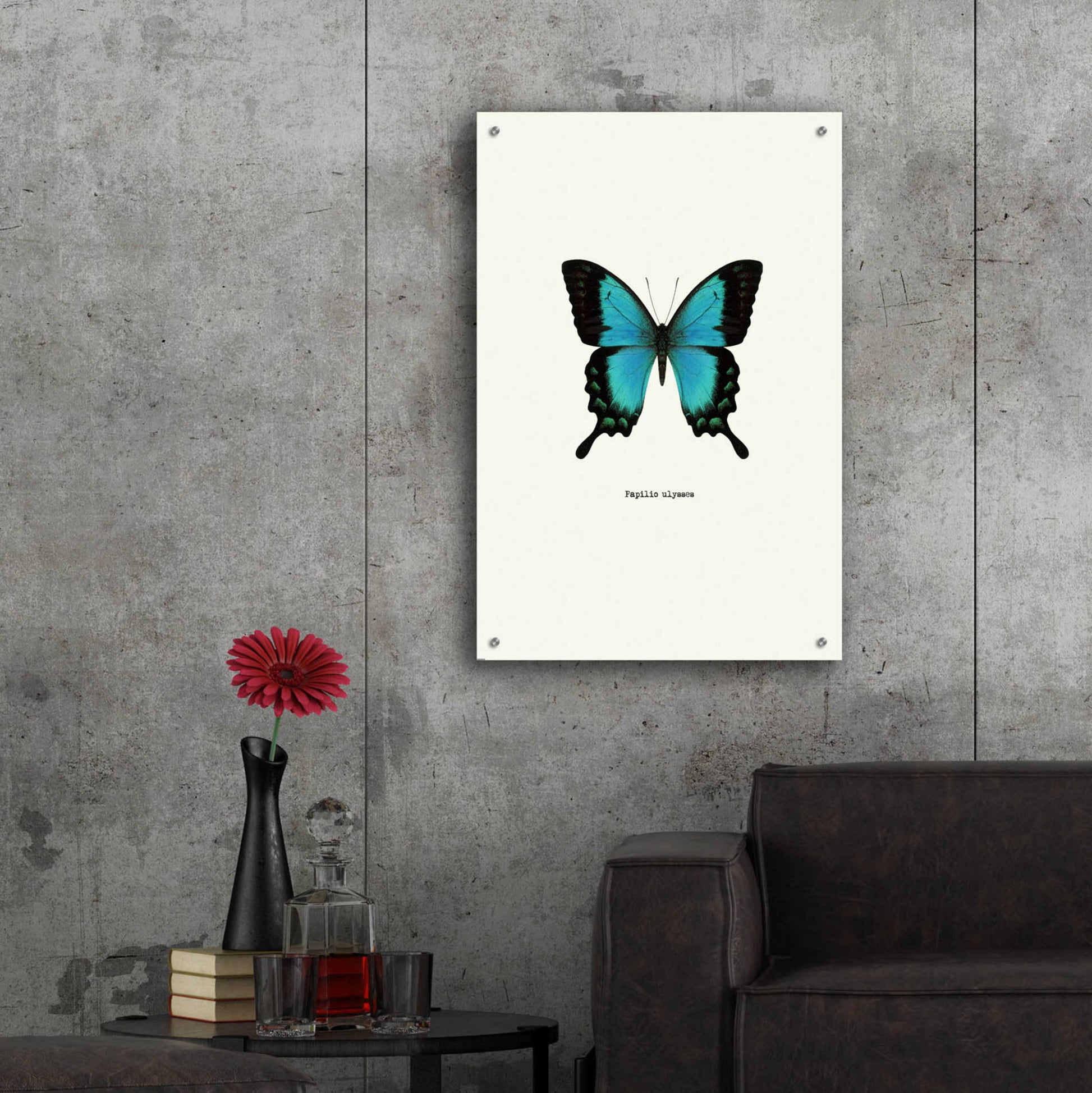 Epic Art 'Blue Butterfly' by GraphINC, Acrylic Glass Wall Art,24x36