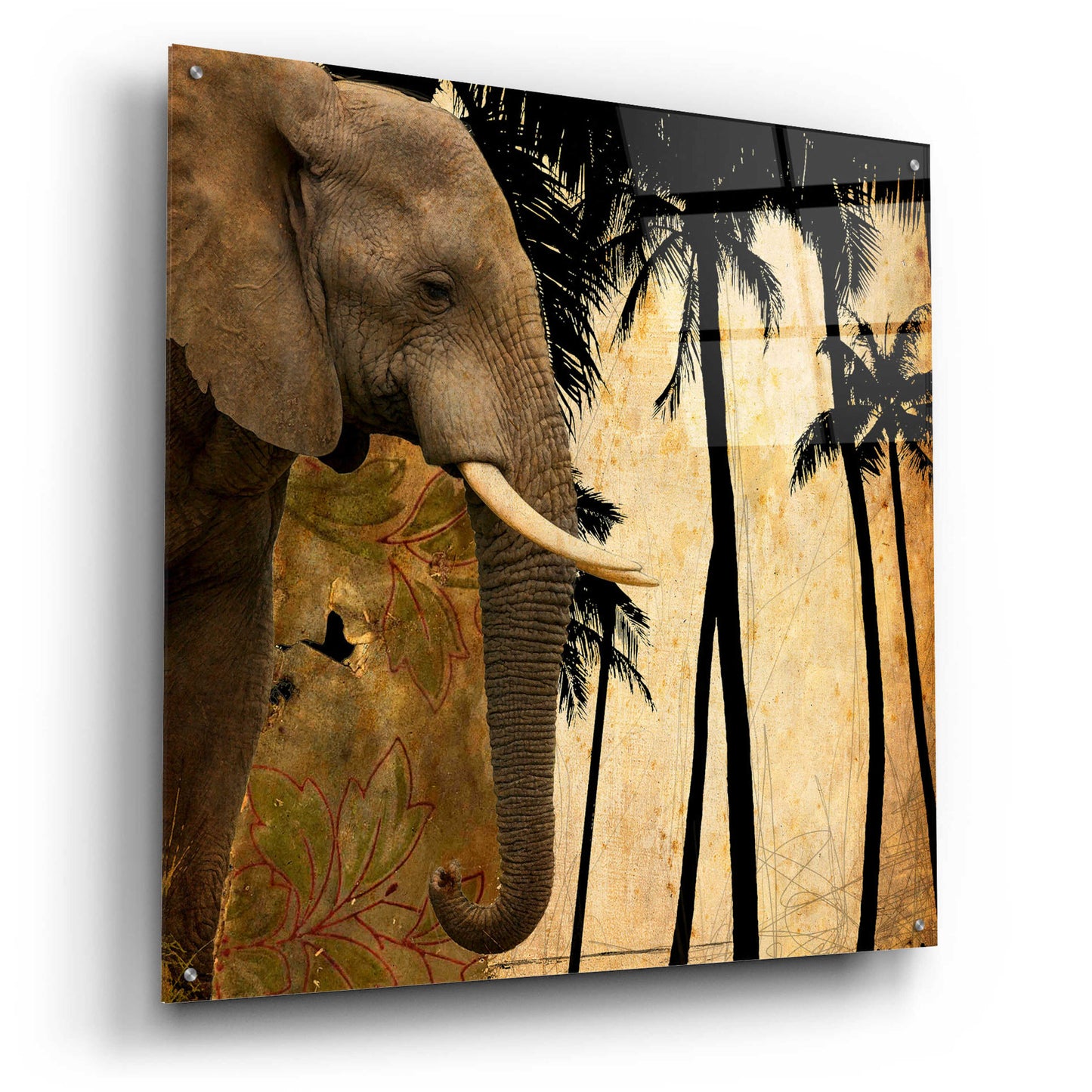 Epic Art 'Mighty Elephant 1' by GraphINC, Acrylic Glass Wall Art,36x36