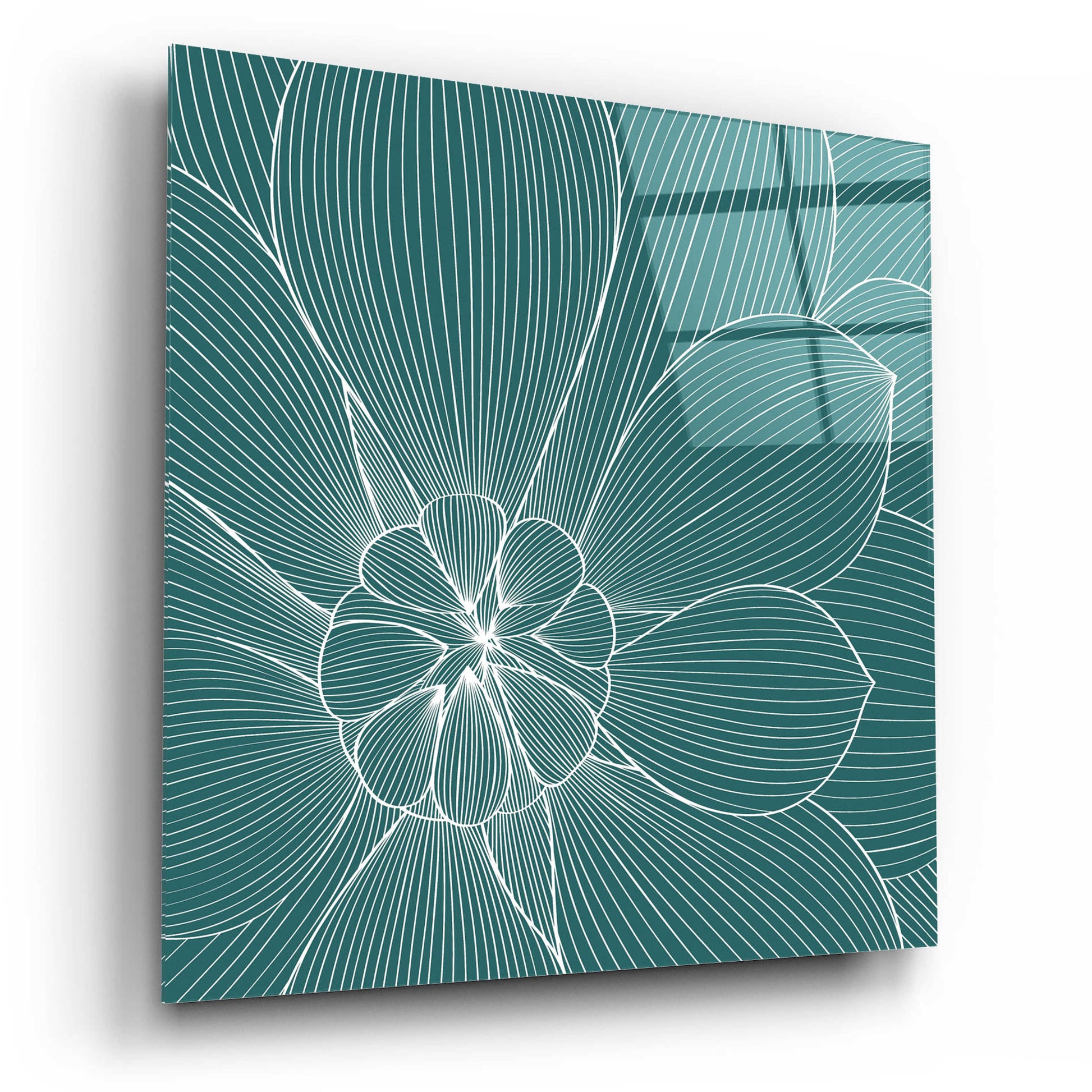 Epic Art 'Myrrhis Odorata II' by GraphINC, Acrylic Glass Wall Art,12x12