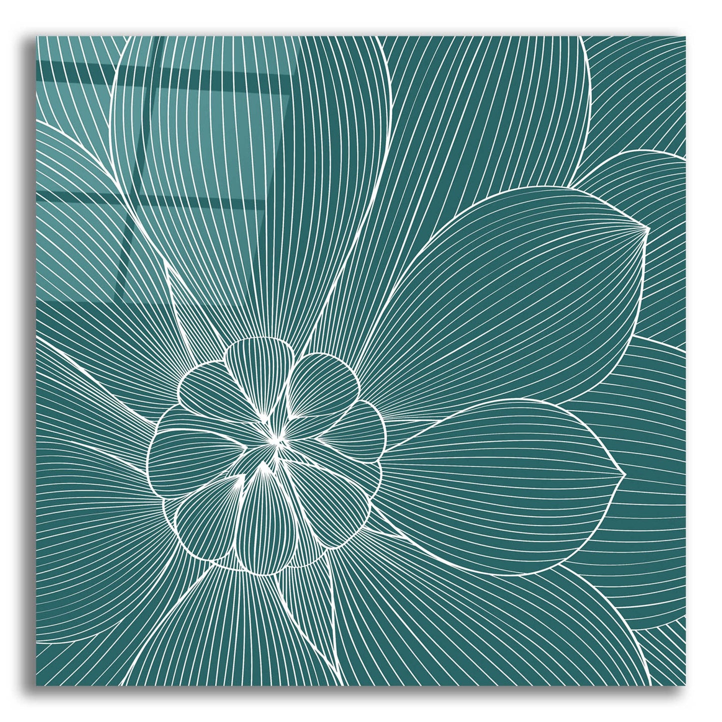 Epic Art 'Myrrhis Odorata II' by GraphINC, Acrylic Glass Wall Art,12x12