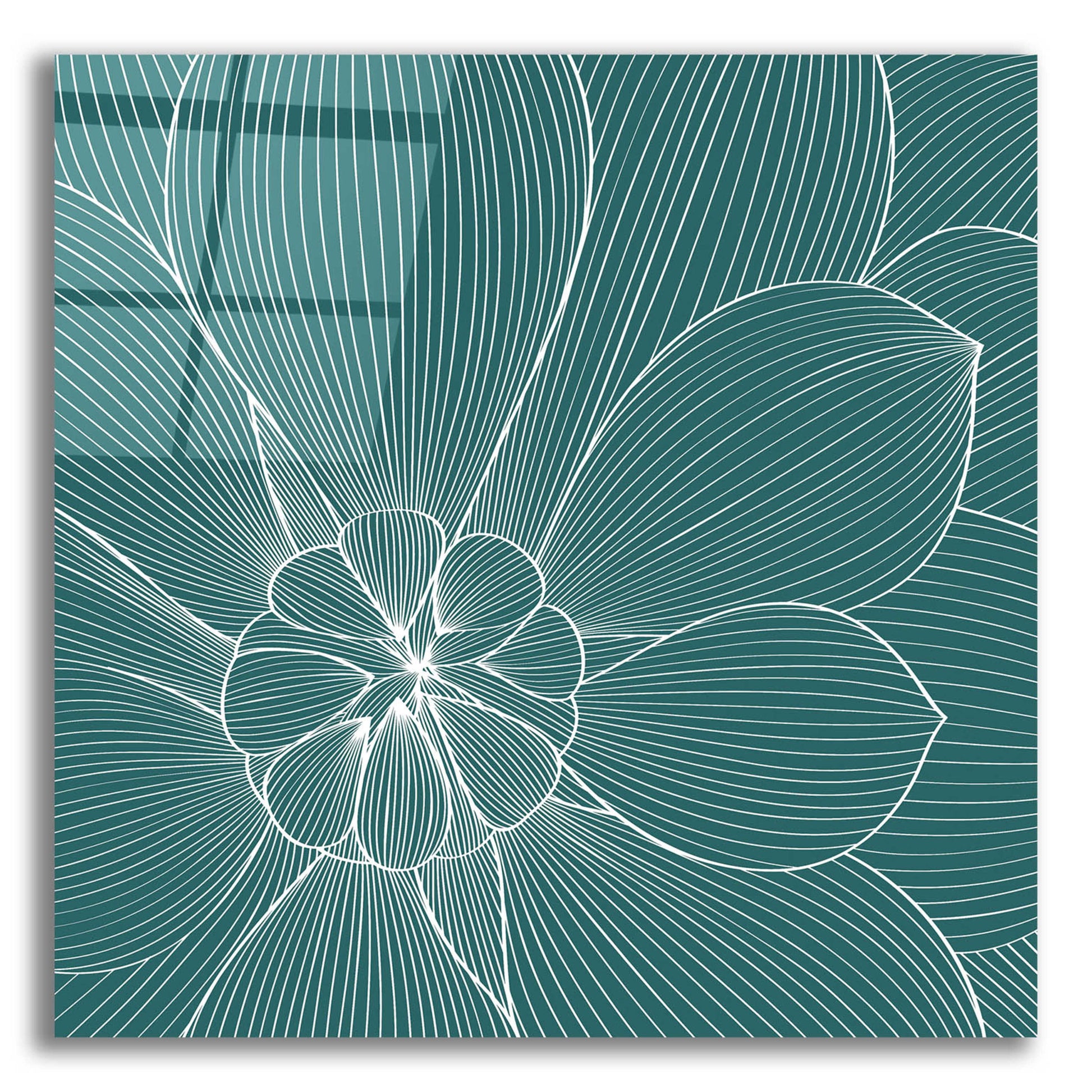 Epic Art 'Myrrhis Odorata II' by GraphINC, Acrylic Glass Wall Art,12x12