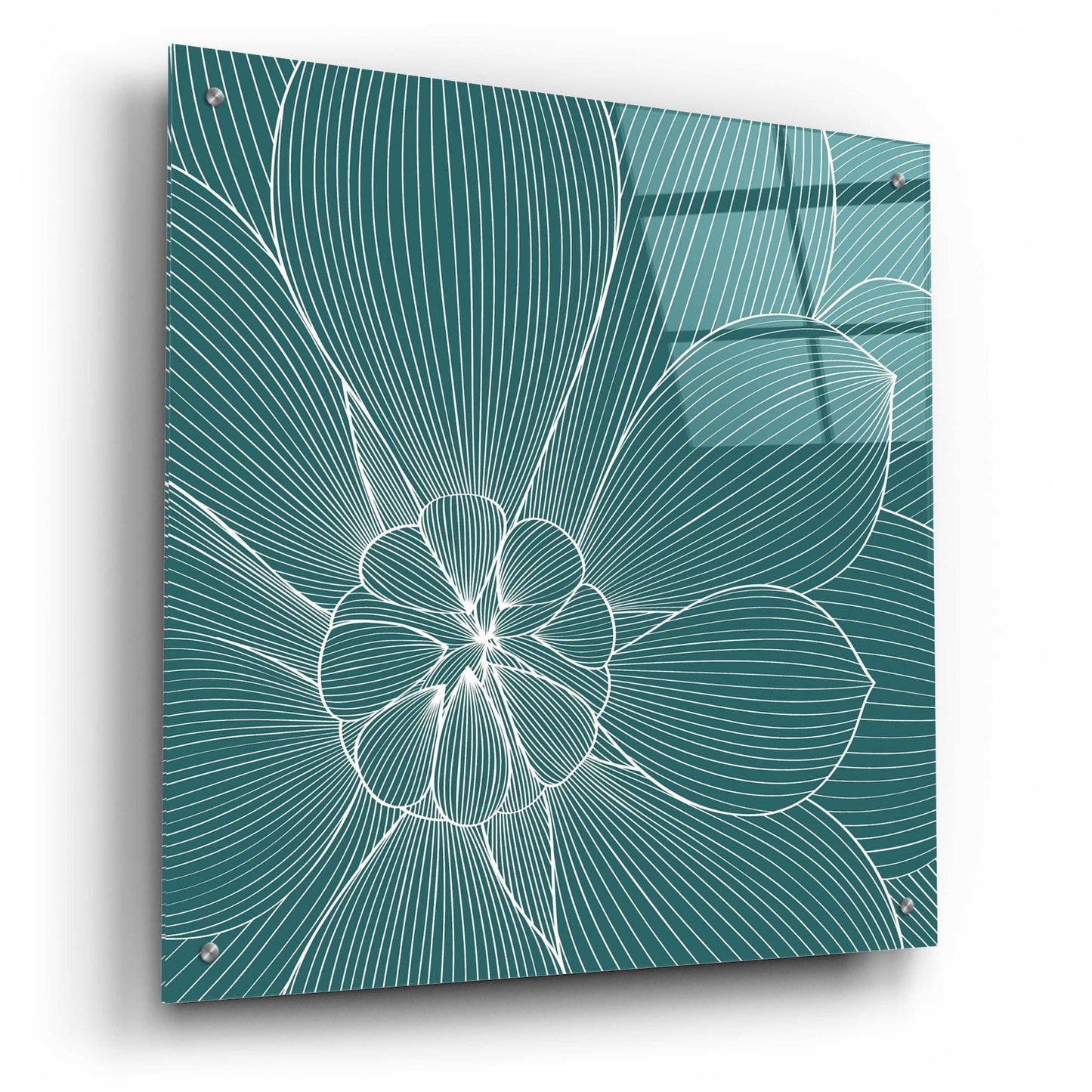 Epic Art 'Myrrhis Odorata II' by GraphINC, Acrylic Glass Wall Art,24x24