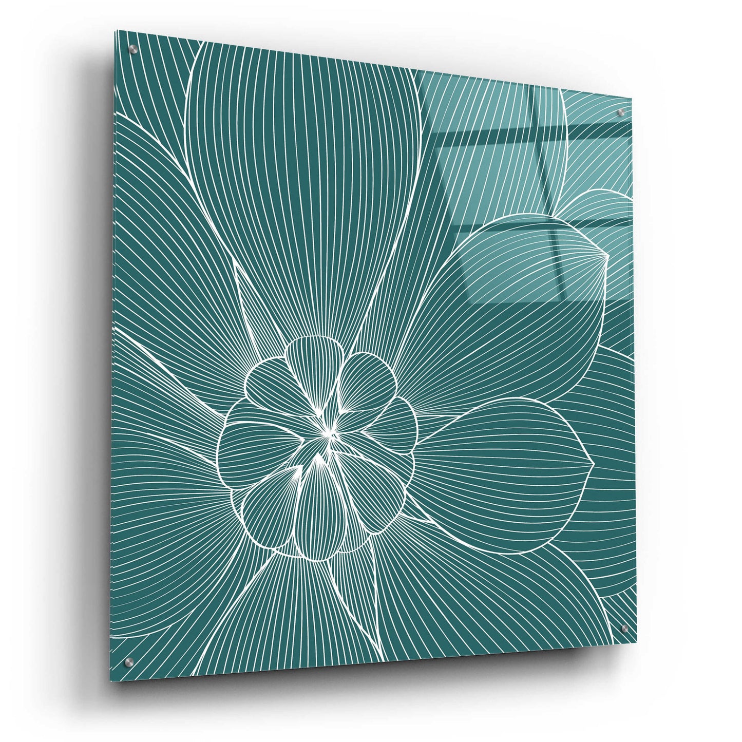 Epic Art 'Myrrhis Odorata II' by GraphINC, Acrylic Glass Wall Art,36x36