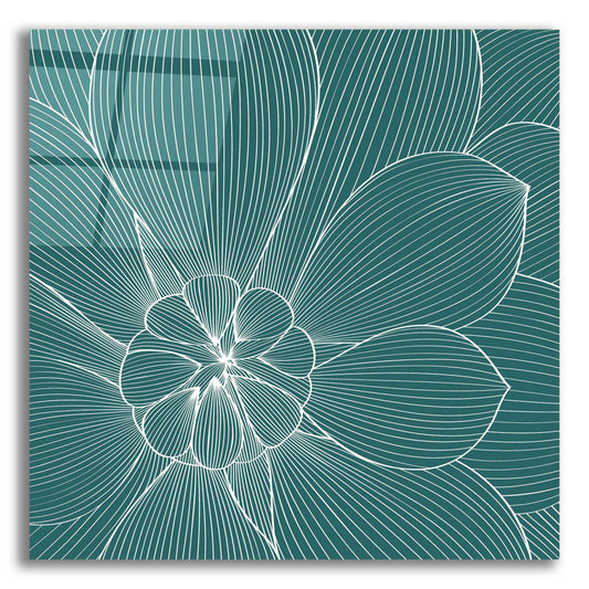 Epic Art 'Myrrhis Odorata II' by GraphINC, Acrylic Glass Wall Art