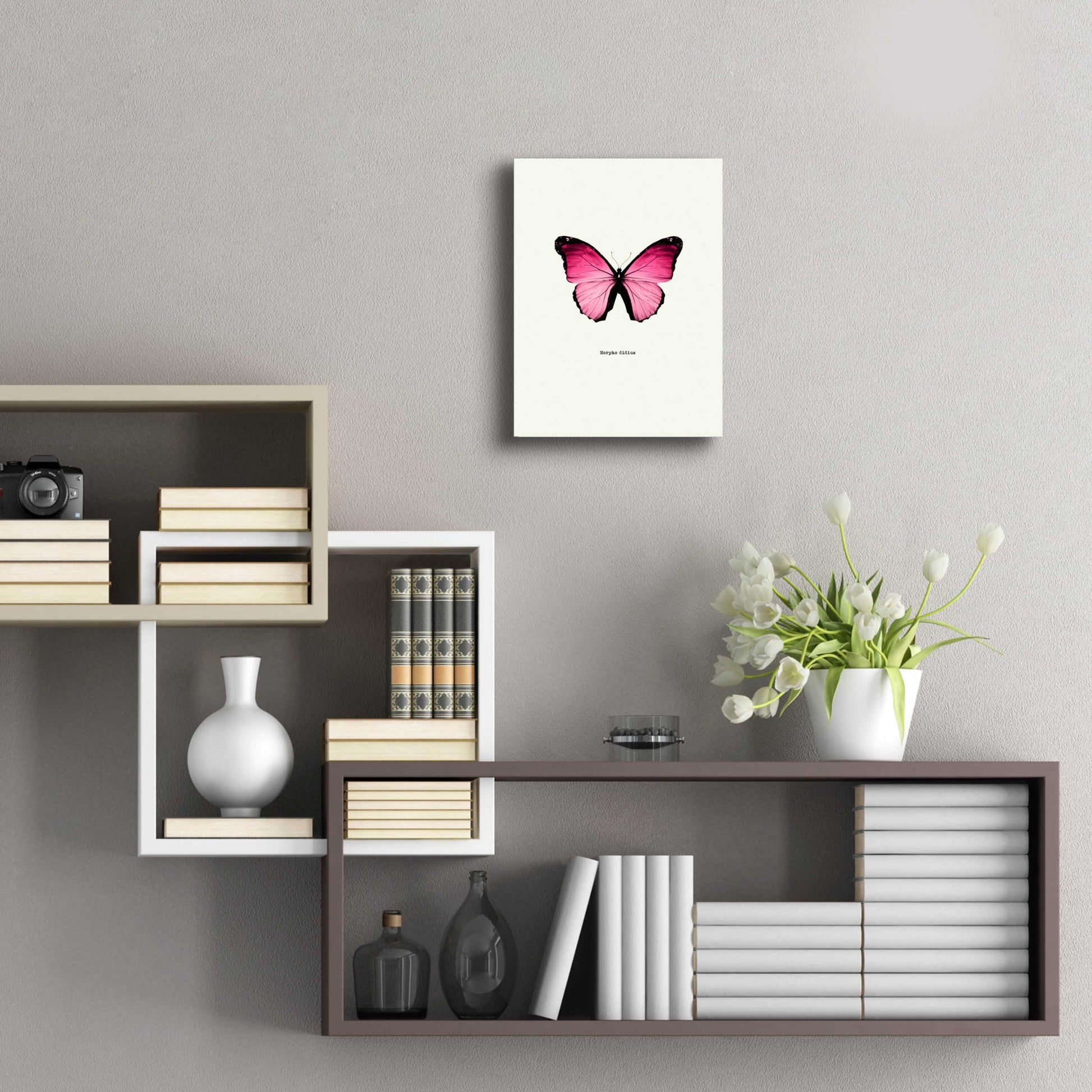 Epic Art 'Pink Butterfly' by GraphINC, Acrylic Glass Wall Art,12x16