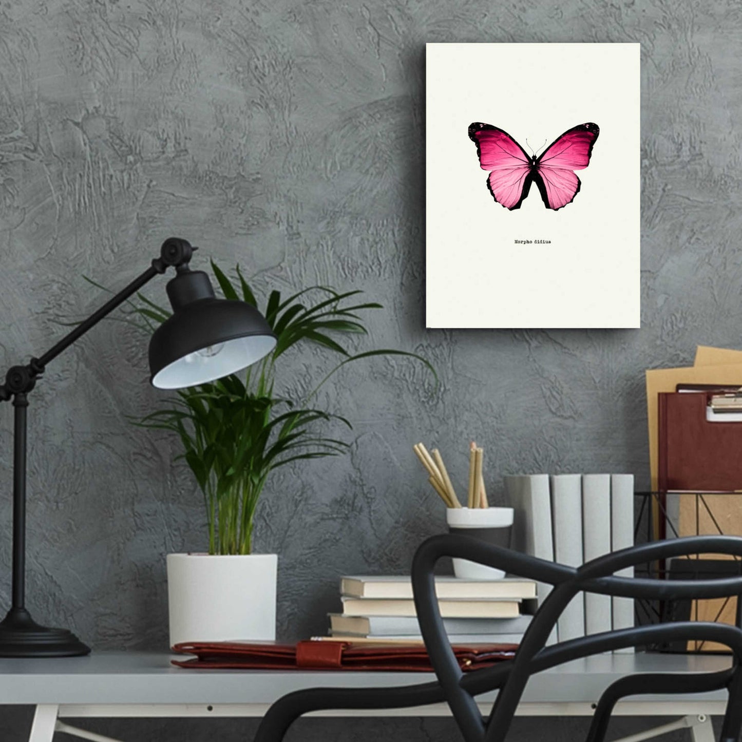 Epic Art 'Pink Butterfly' by GraphINC, Acrylic Glass Wall Art,12x16