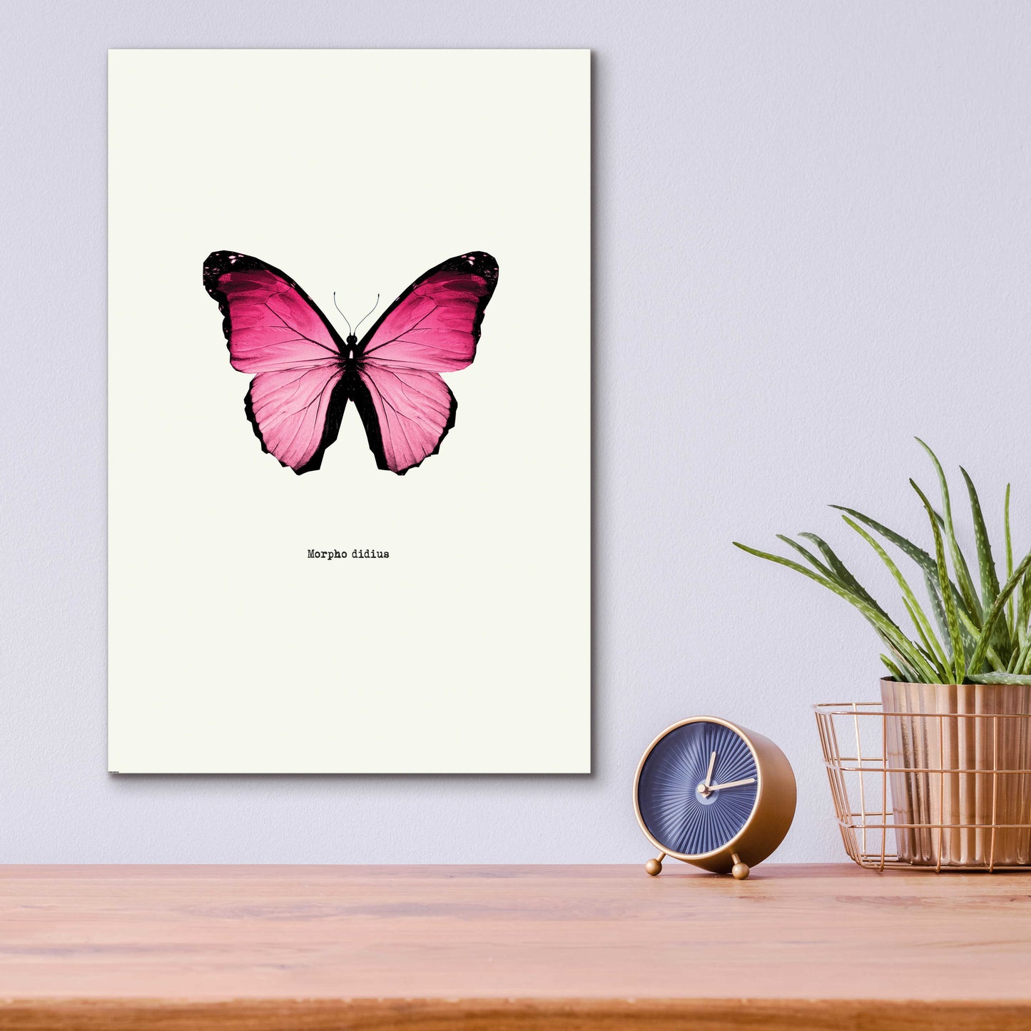 Epic Art 'Pink Butterfly' by GraphINC, Acrylic Glass Wall Art,12x16