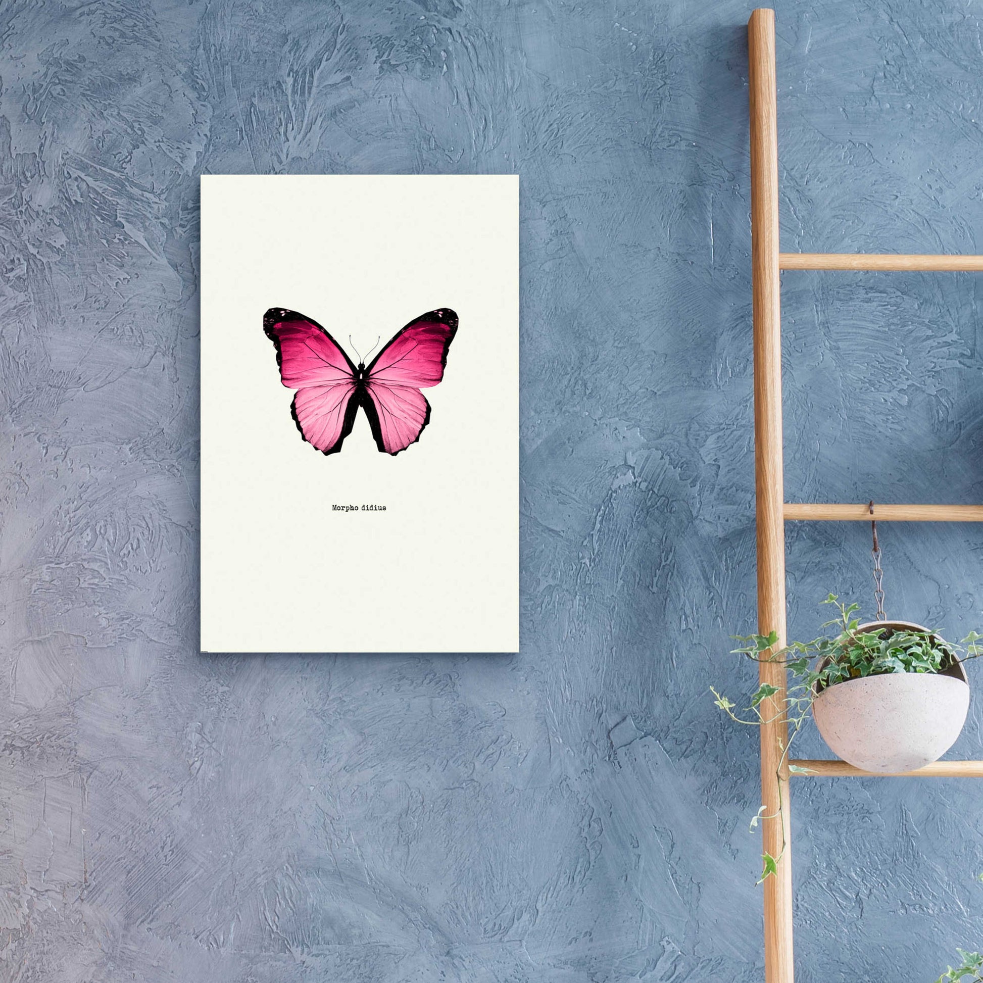 Epic Art 'Pink Butterfly' by GraphINC, Acrylic Glass Wall Art,16x24