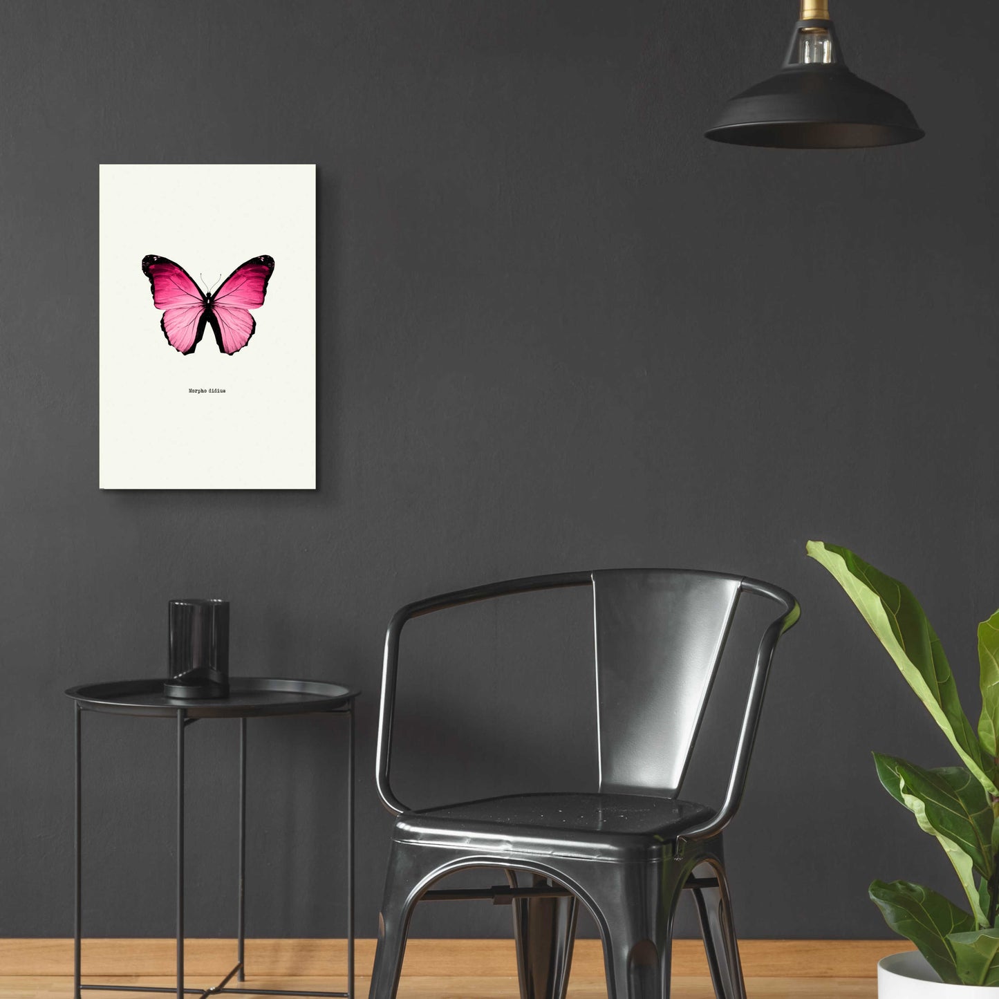 Epic Art 'Pink Butterfly' by GraphINC, Acrylic Glass Wall Art,16x24