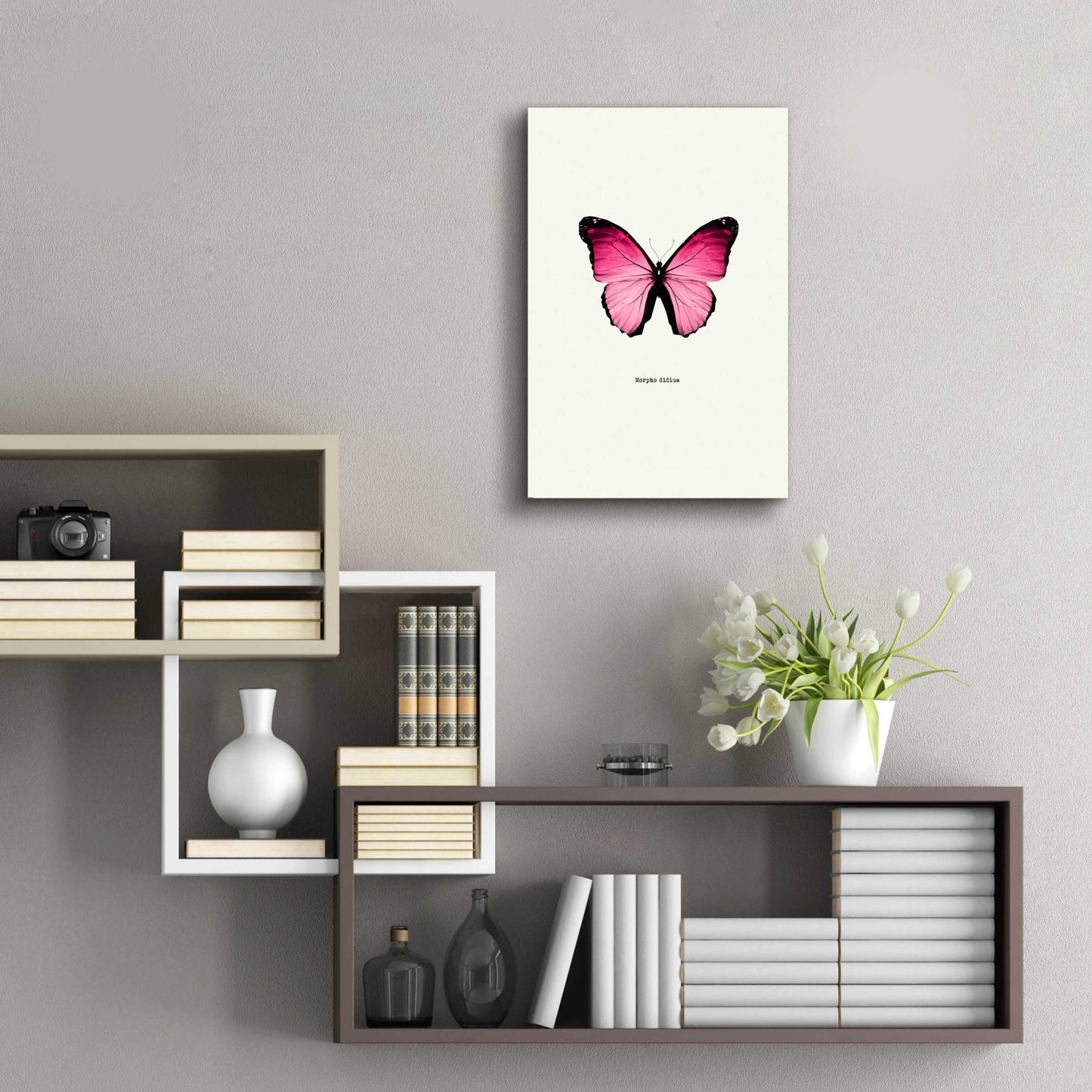 Epic Art 'Pink Butterfly' by GraphINC, Acrylic Glass Wall Art,16x24