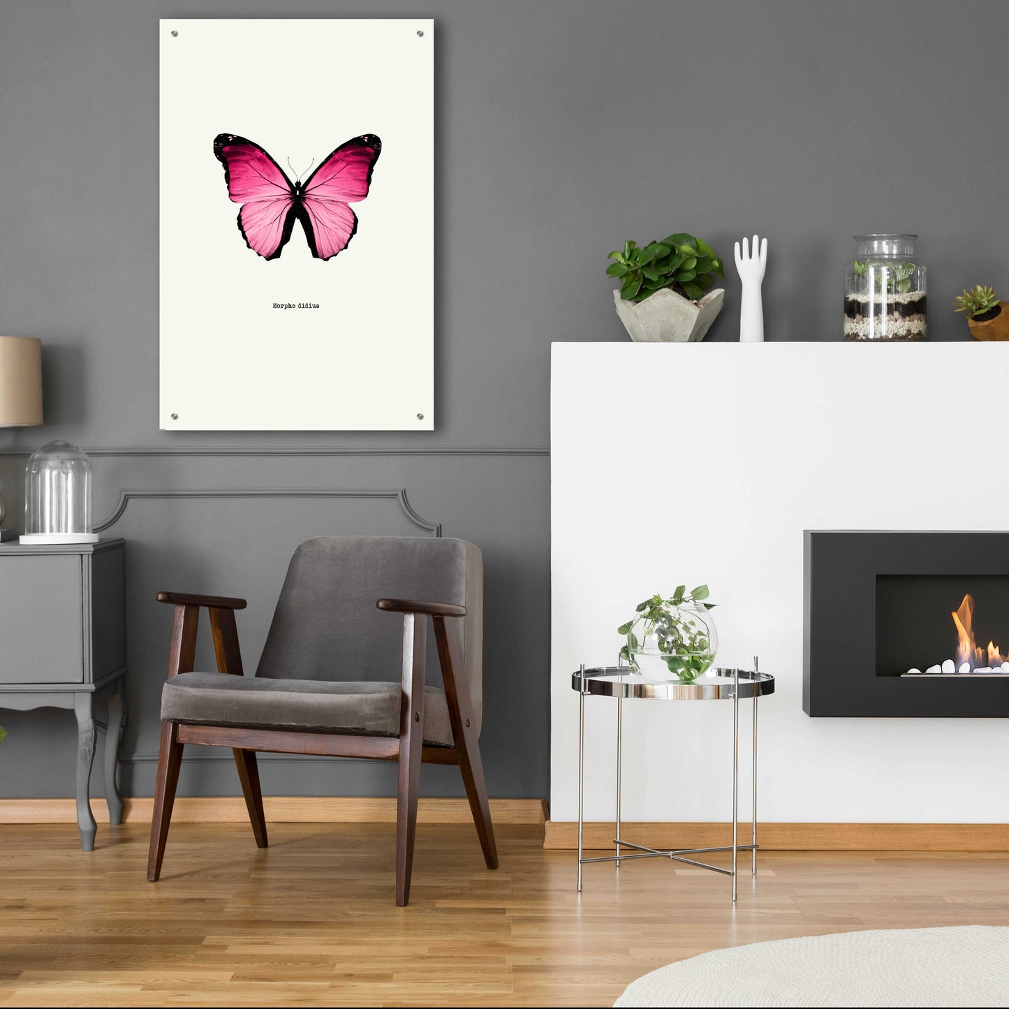 Epic Art 'Pink Butterfly' by GraphINC, Acrylic Glass Wall Art,24x36