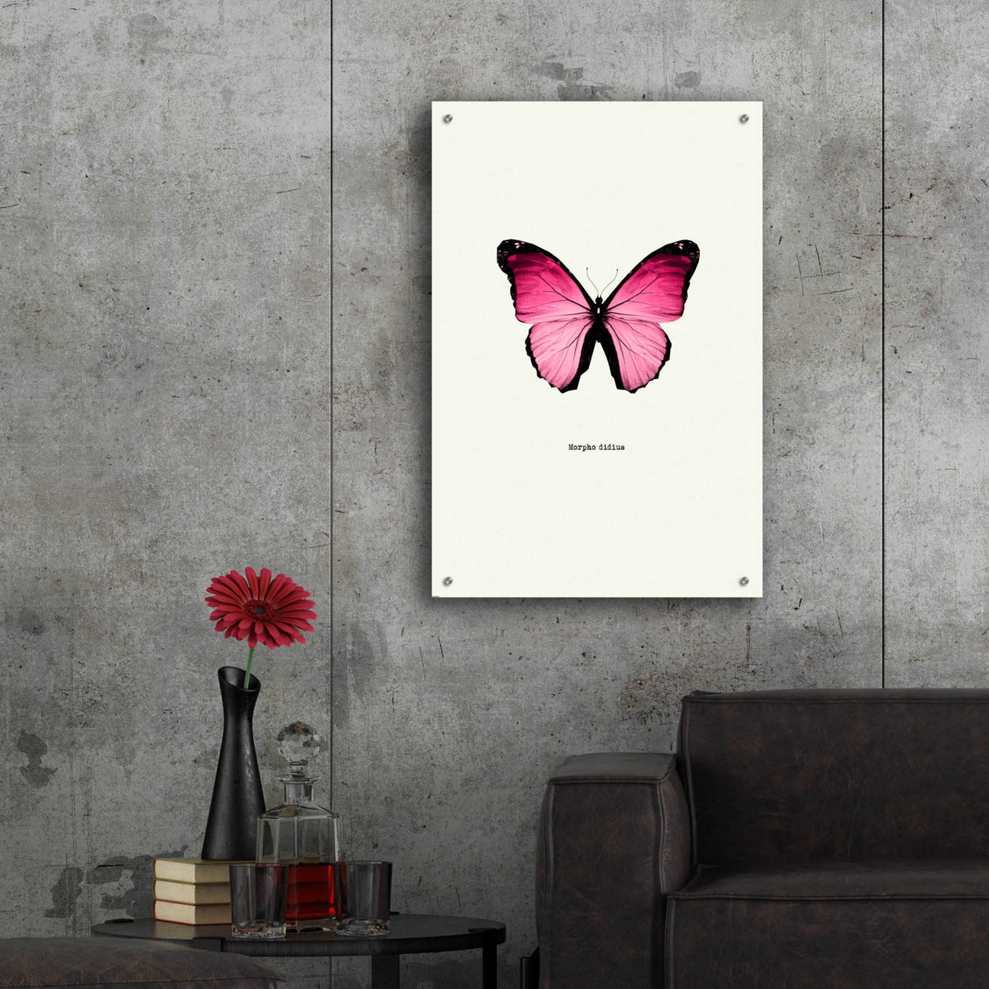 Epic Art 'Pink Butterfly' by GraphINC, Acrylic Glass Wall Art,24x36