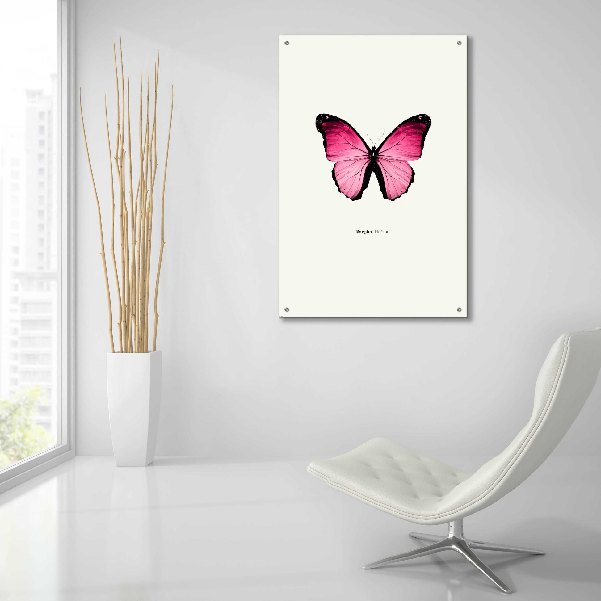 Epic Art 'Pink Butterfly' by GraphINC, Acrylic Glass Wall Art,24x36