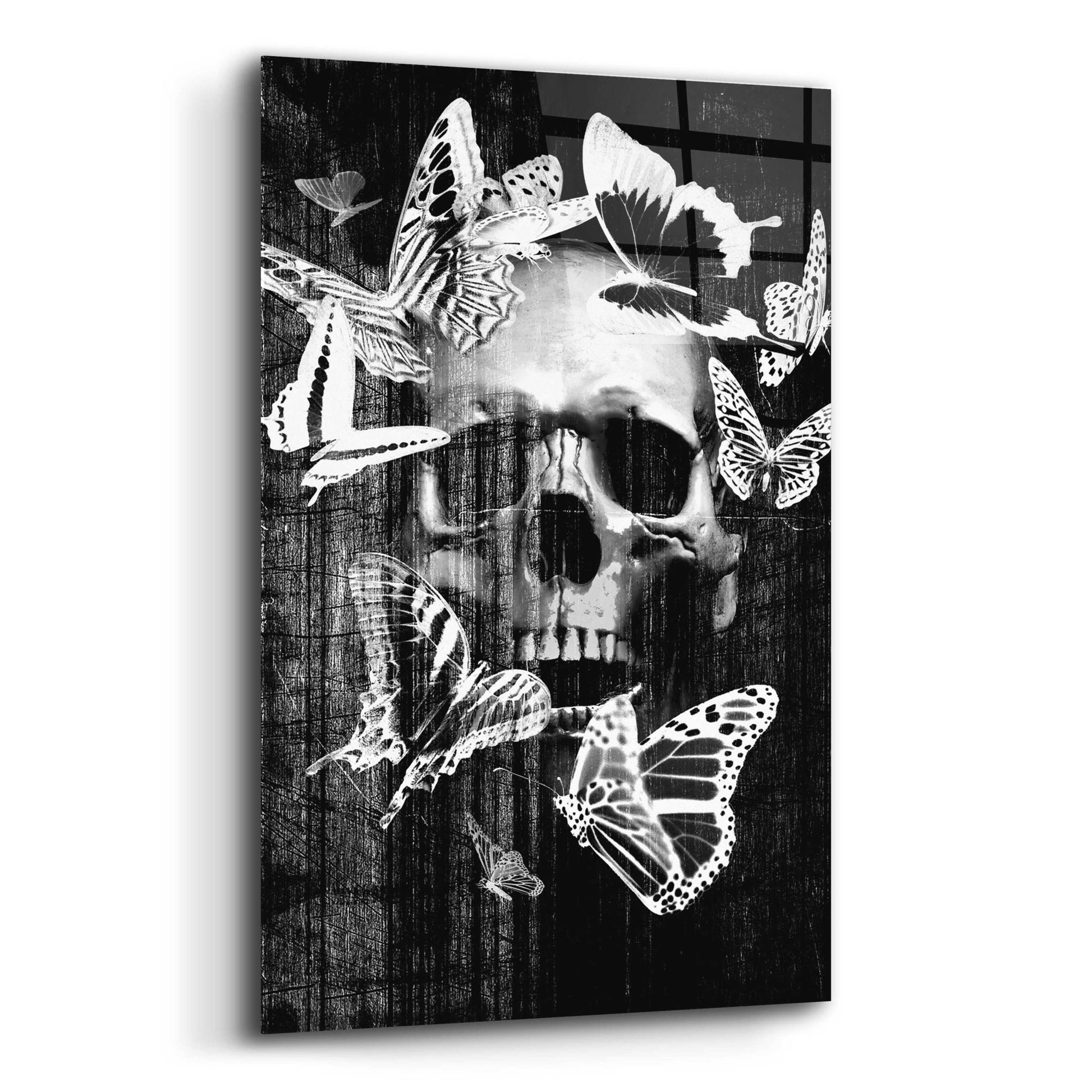 Epic Art 'Skull Butterfly Crown' by GraphINC, Acrylic Glass Wall Art,12x16