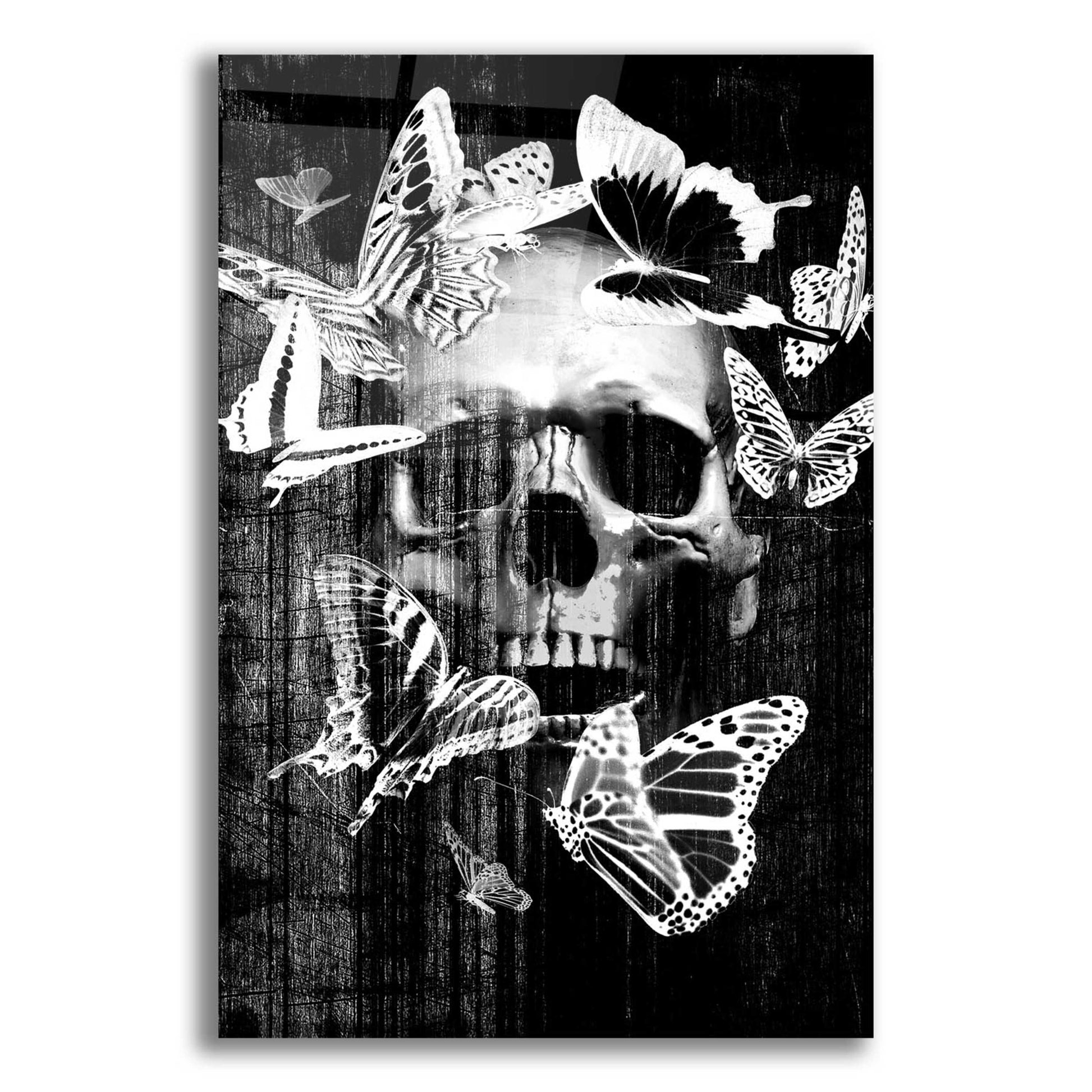 Epic Art 'Skull Butterfly Crown' by GraphINC, Acrylic Glass Wall Art,12x16