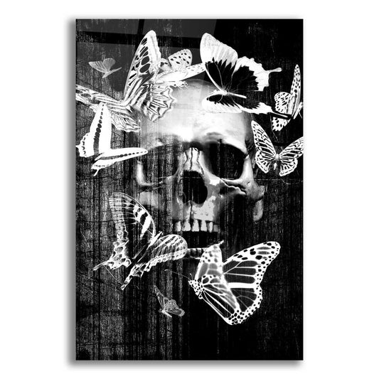 Epic Art 'Skull Butterfly Crown' by GraphINC, Acrylic Glass Wall Art