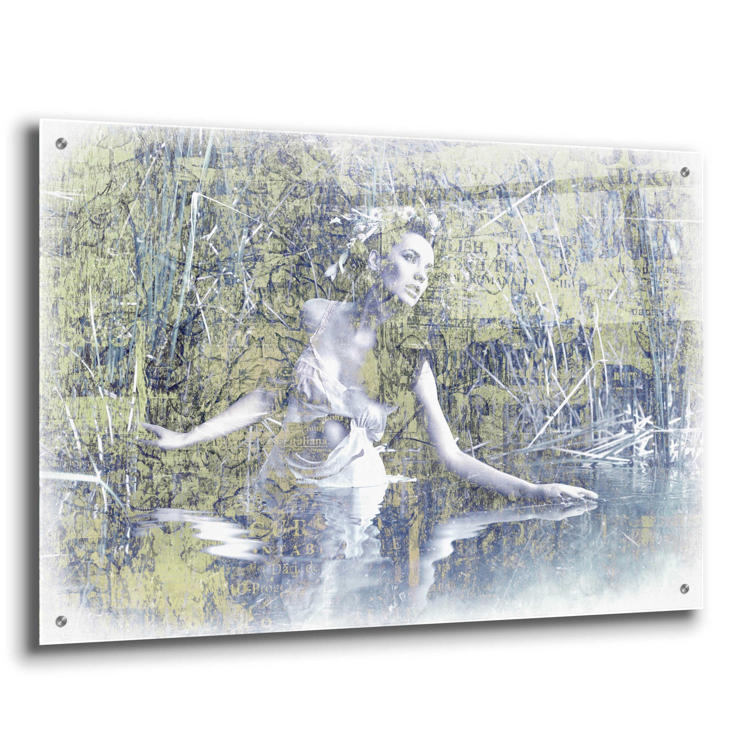 Epic Art 'Swan Lake' by GraphINC, Acrylic Glass Wall Art,36x24