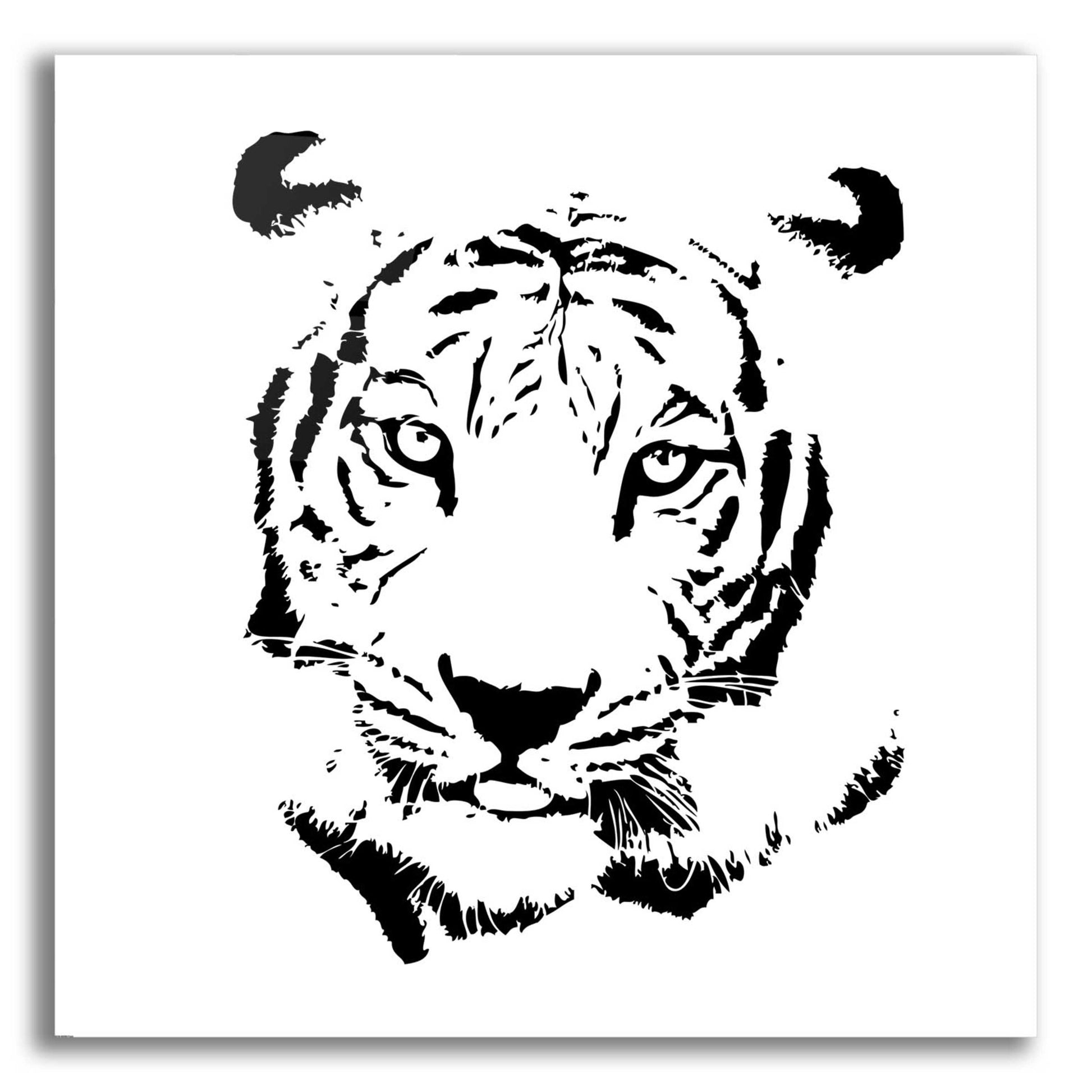 Epic Art 'Tiger' by GraphINC, Acrylic Glass Wall Art,12x12