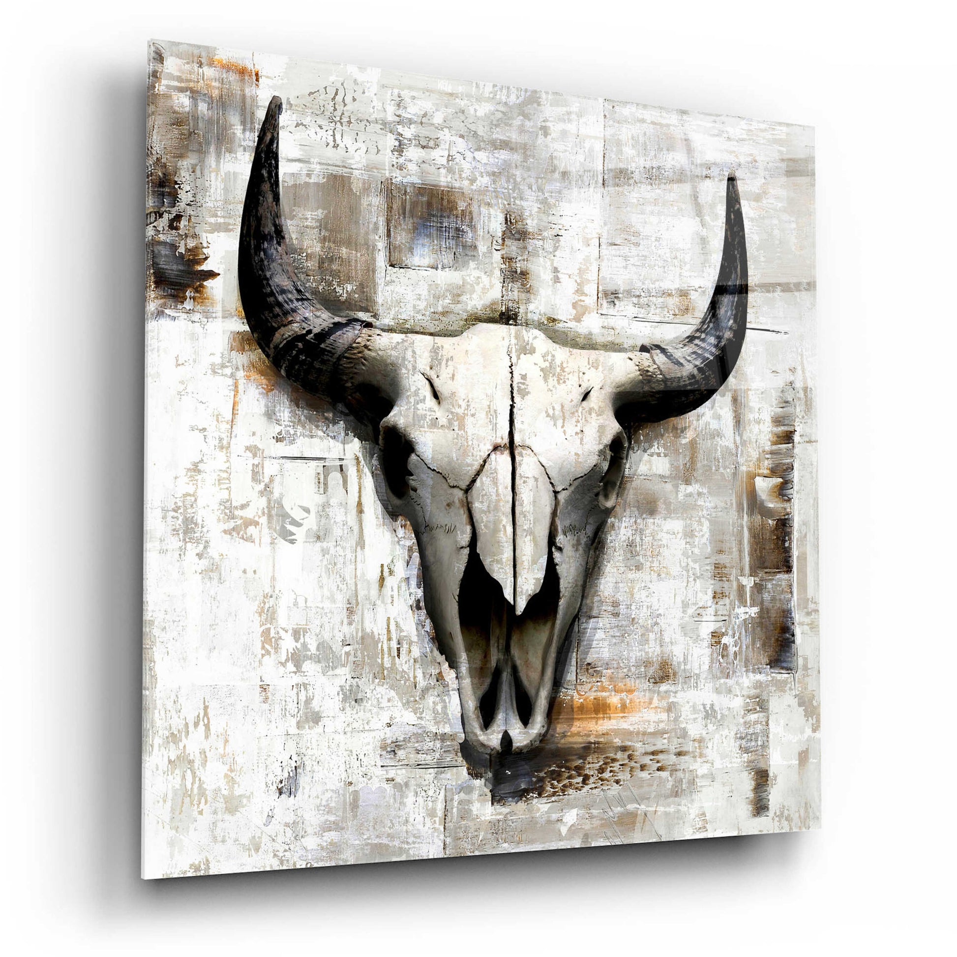 Epic Art 'White Cowskull' by GraphINC, Acrylic Glass Wall Art,12x12