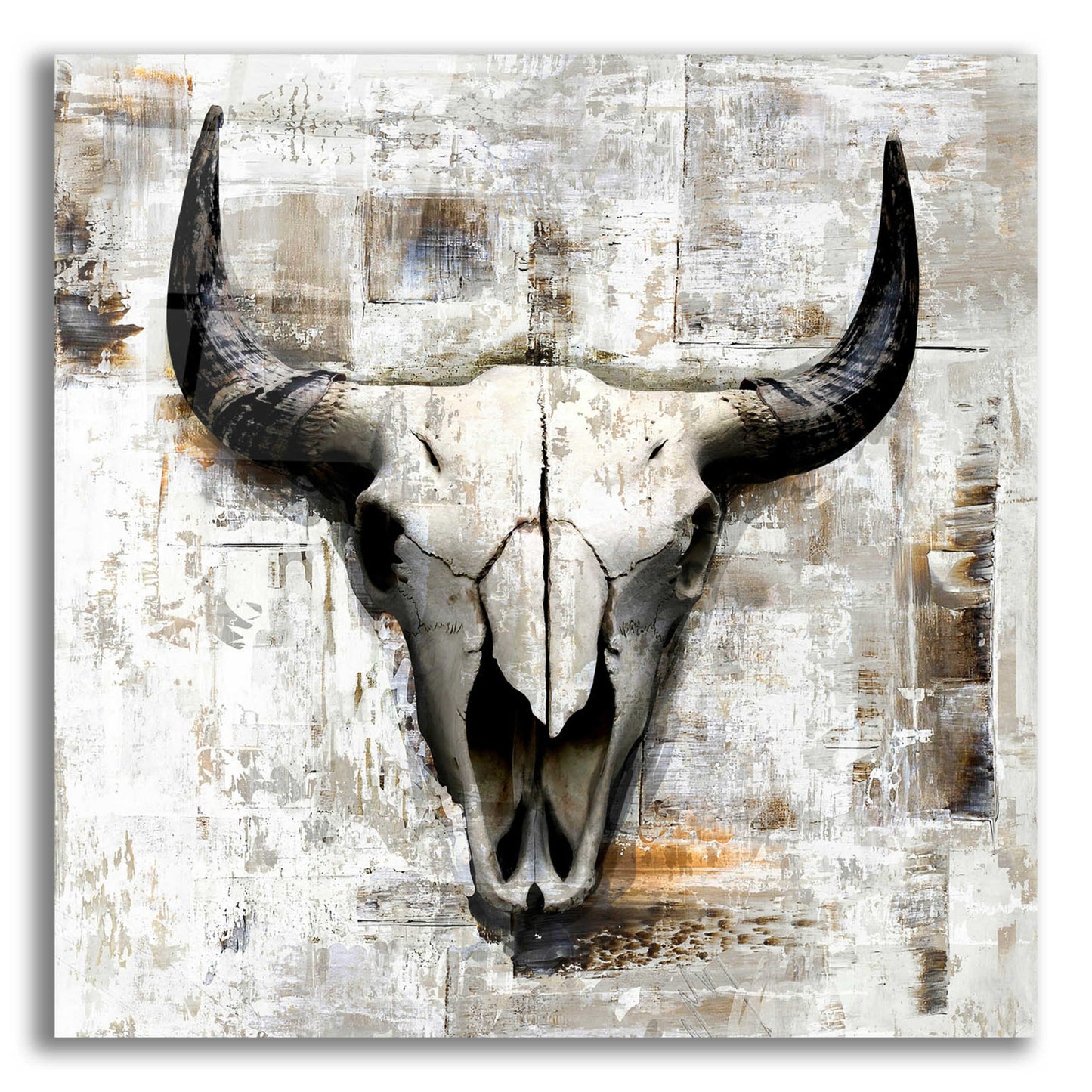 Epic Art 'White Cowskull' by GraphINC, Acrylic Glass Wall Art,12x12