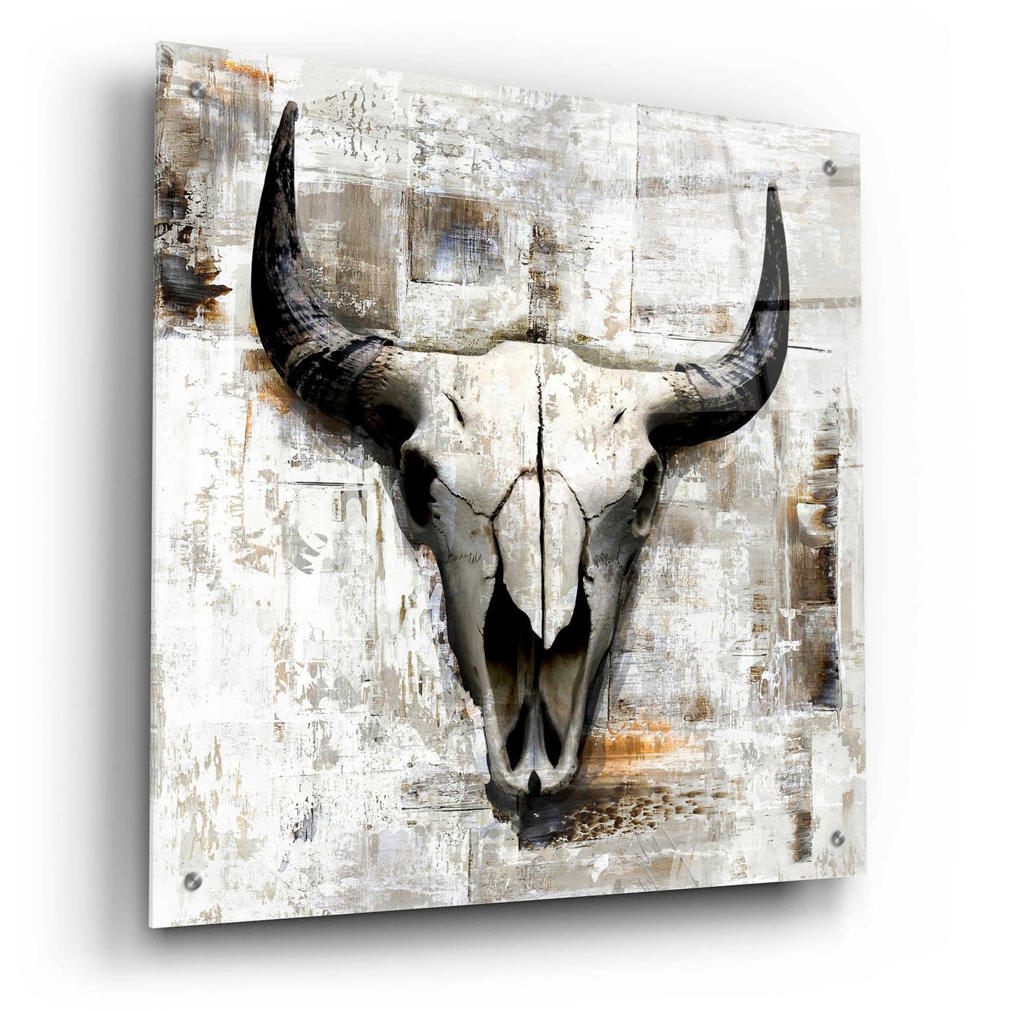 Epic Art 'White Cowskull' by GraphINC, Acrylic Glass Wall Art,24x24