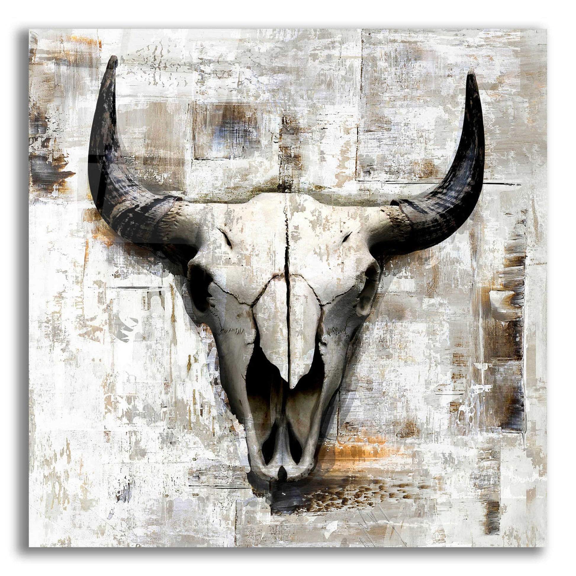 Epic Art 'White Cowskull' by GraphINC, Acrylic Glass Wall Art