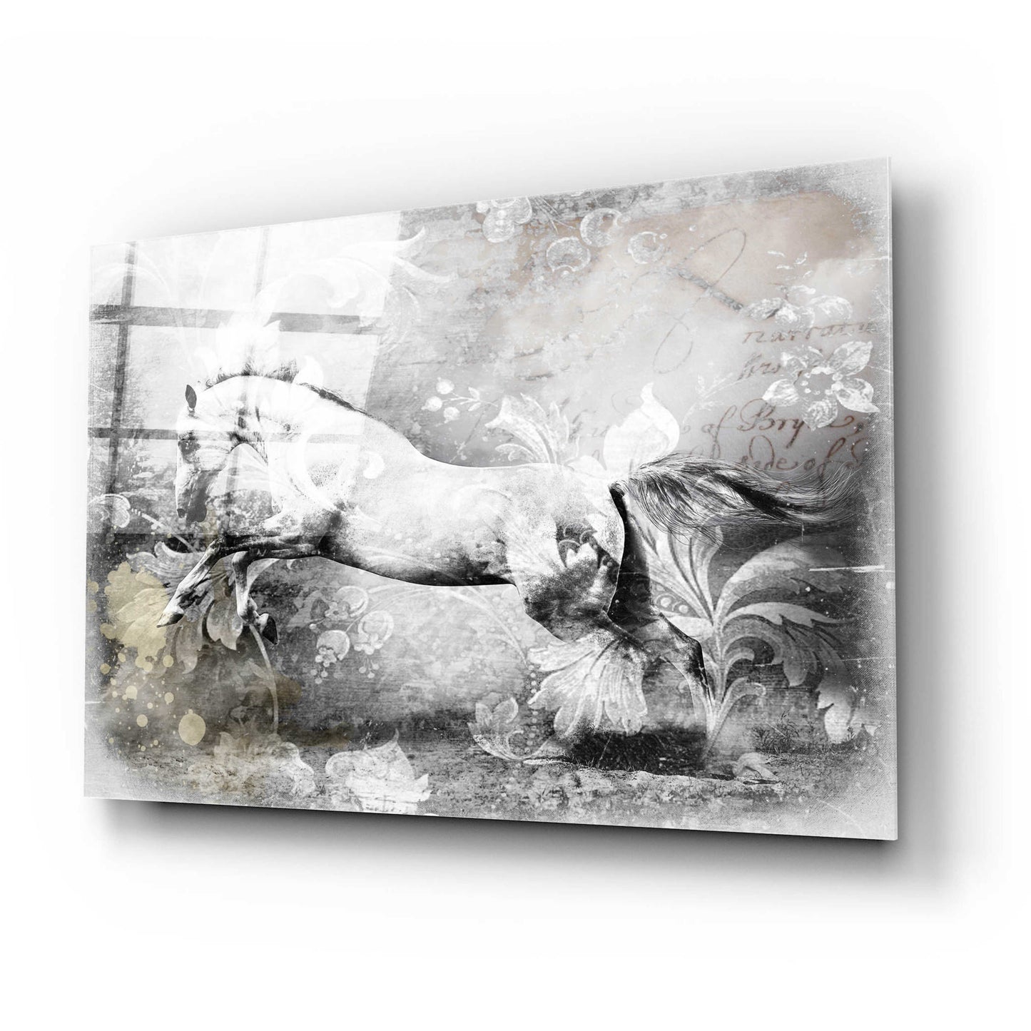 Epic Art 'White Horse' by GraphINC, Acrylic Glass Wall Art,24x16