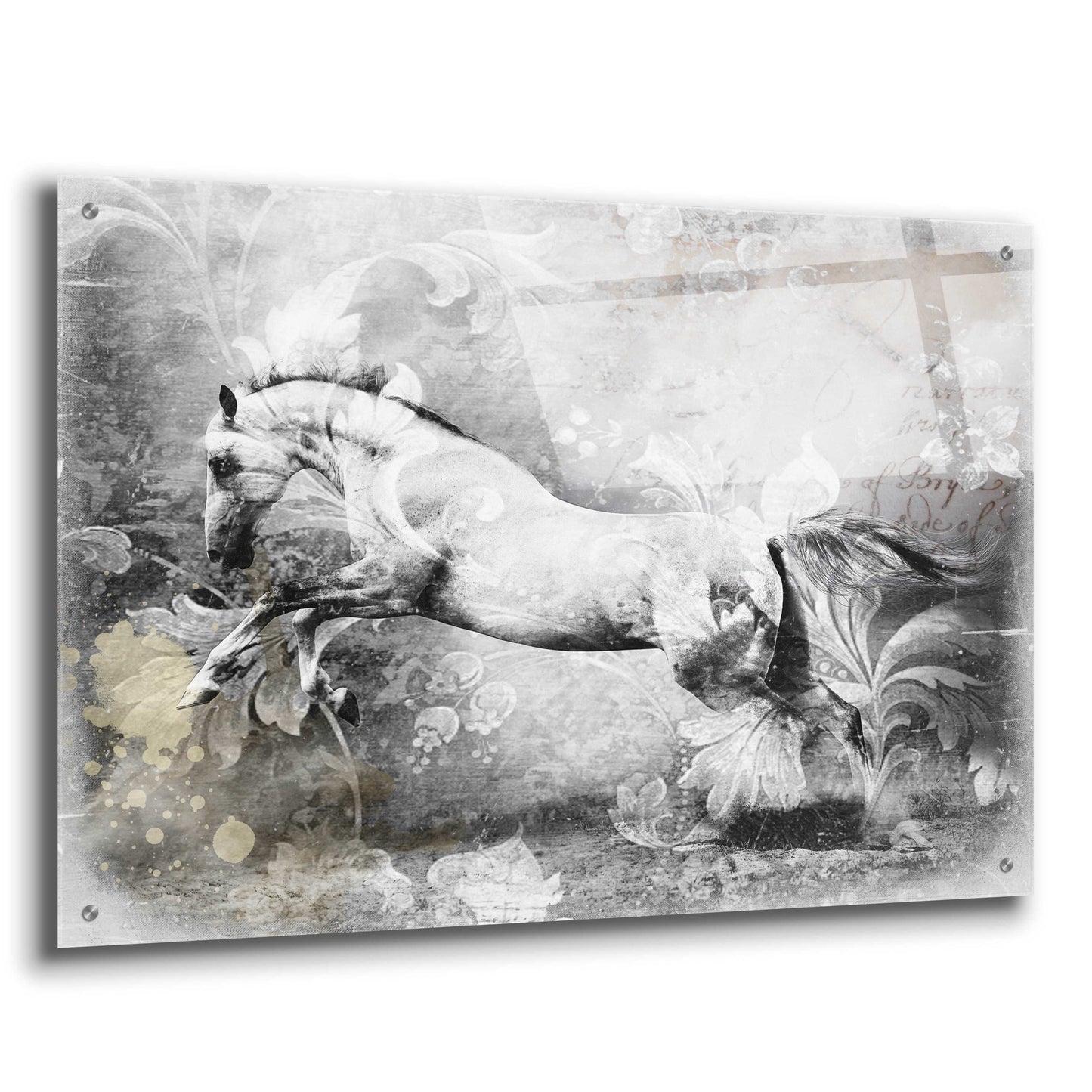 Epic Art 'White Horse' by GraphINC, Acrylic Glass Wall Art,36x24