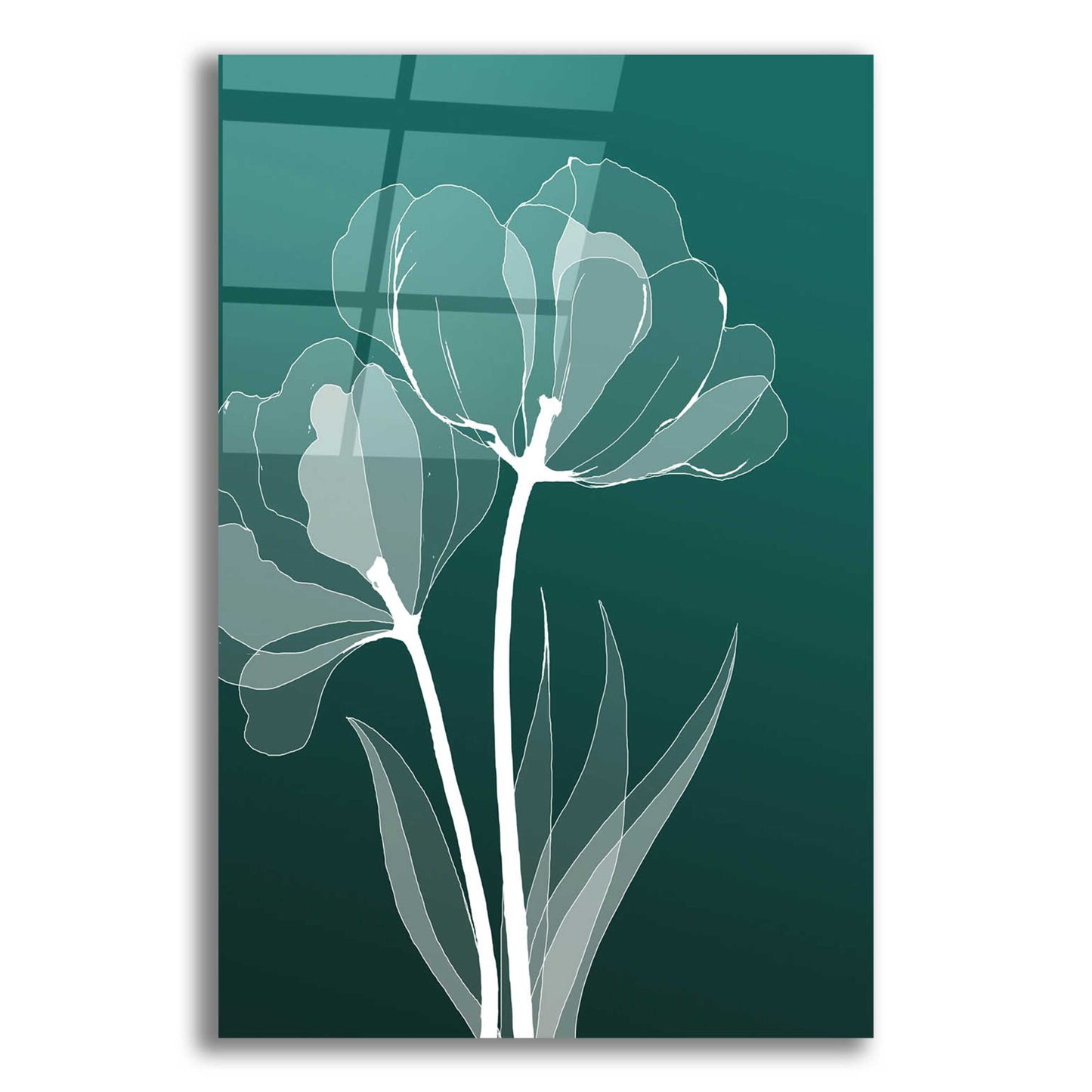 Epic Art 'X-ray Flowers Green' by GraphINC, Acrylic Glass Wall Art,12x16