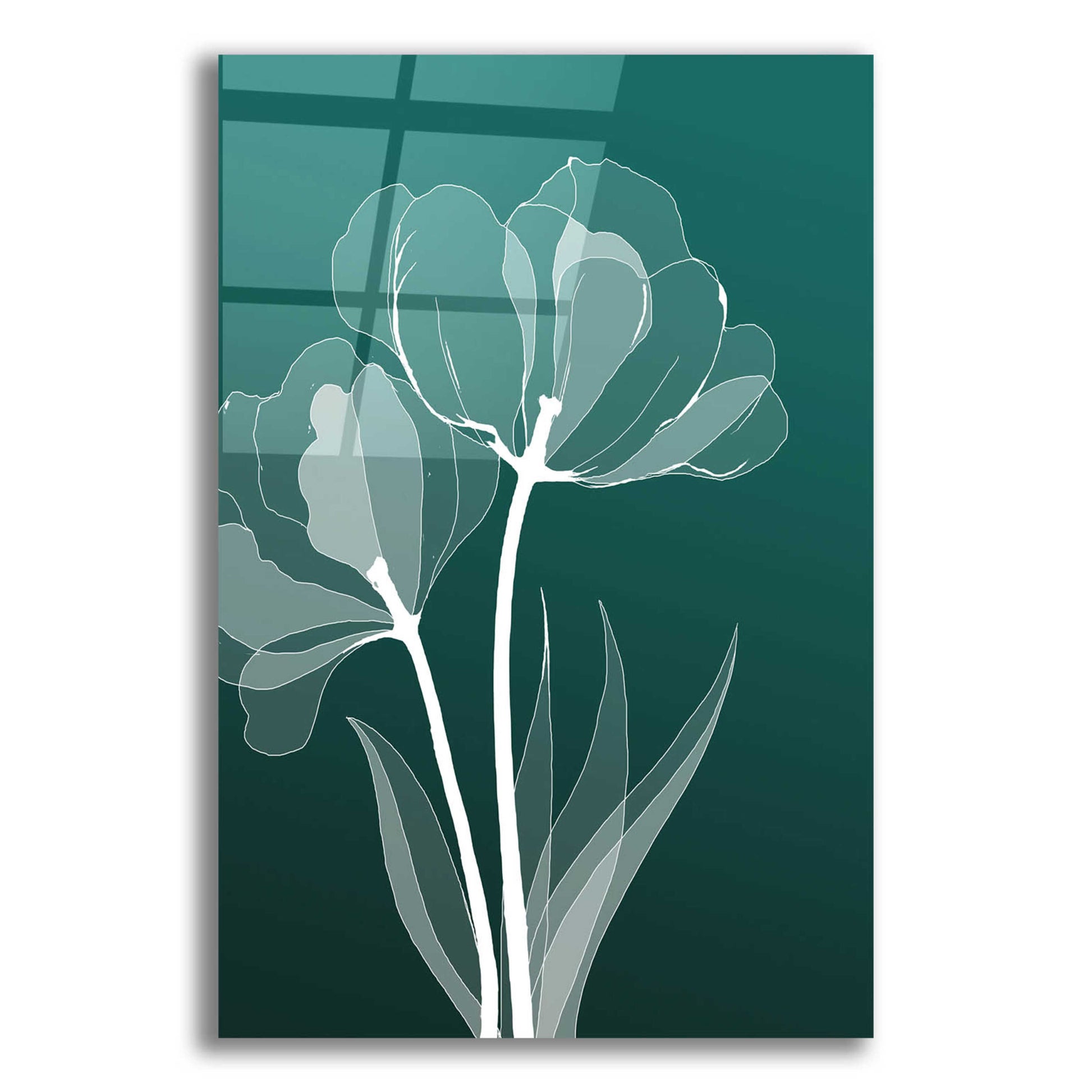 Epic Art 'X-ray Flowers Green' by GraphINC, Acrylic Glass Wall Art,16x24