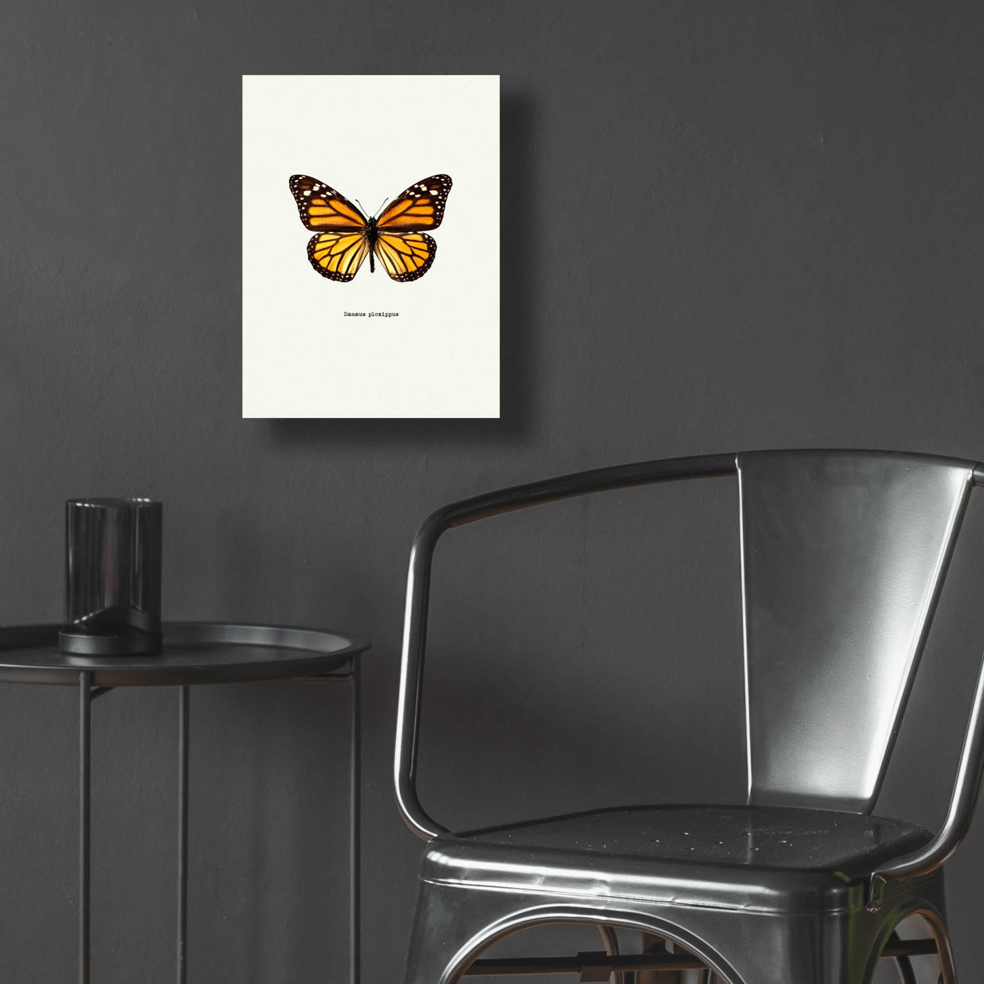 Epic Art 'Yellow Butterfly' by GraphINC, Acrylic Glass Wall Art,12x16